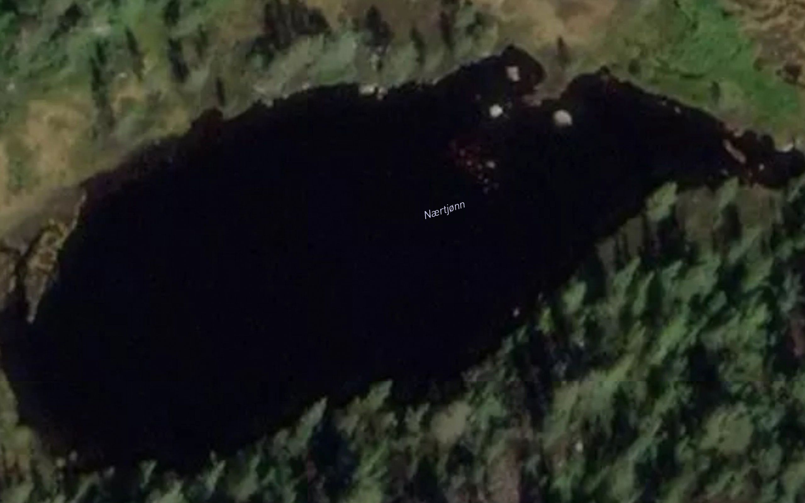 Naertjonn