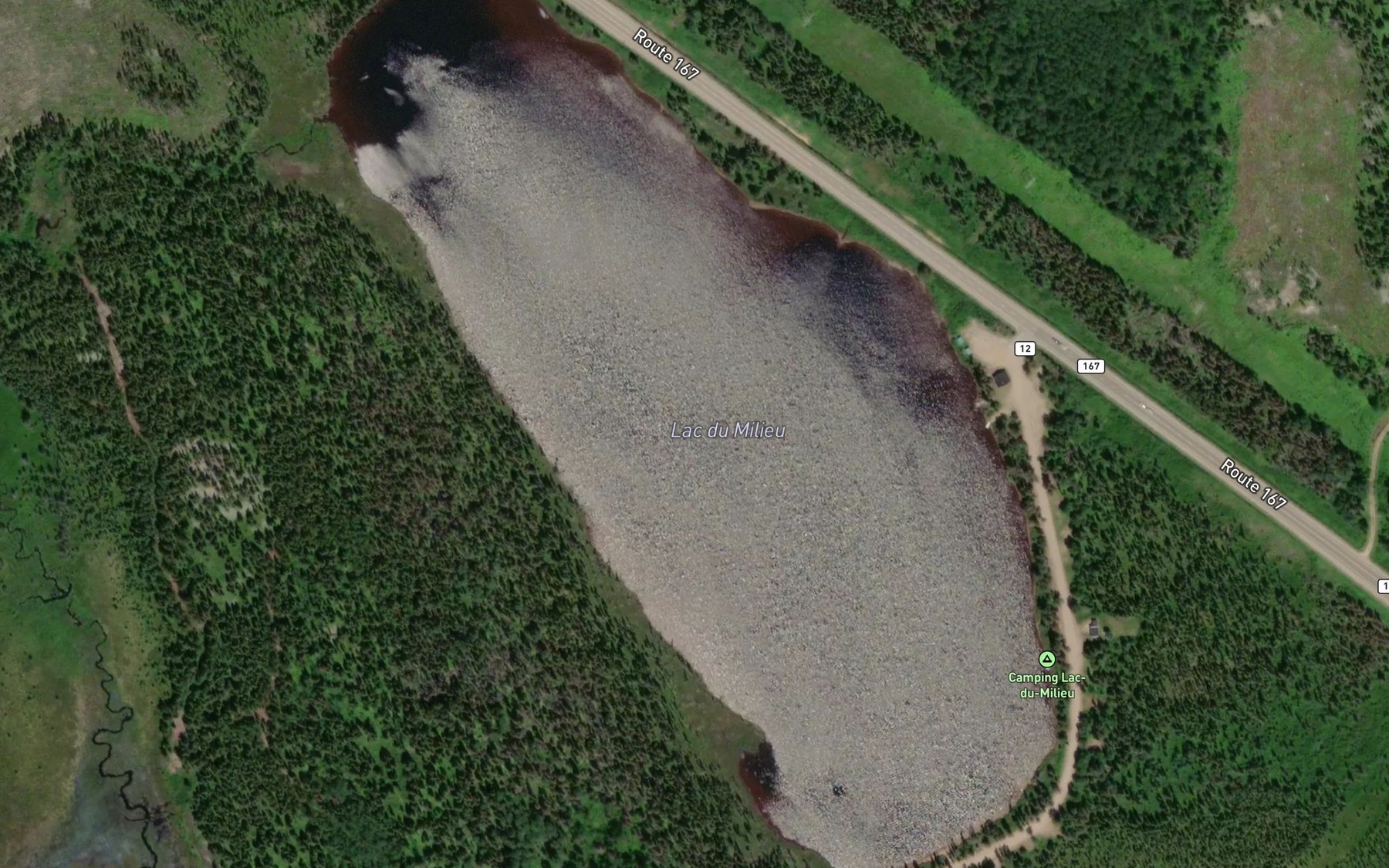 Satellite map of the Lac du Milieu