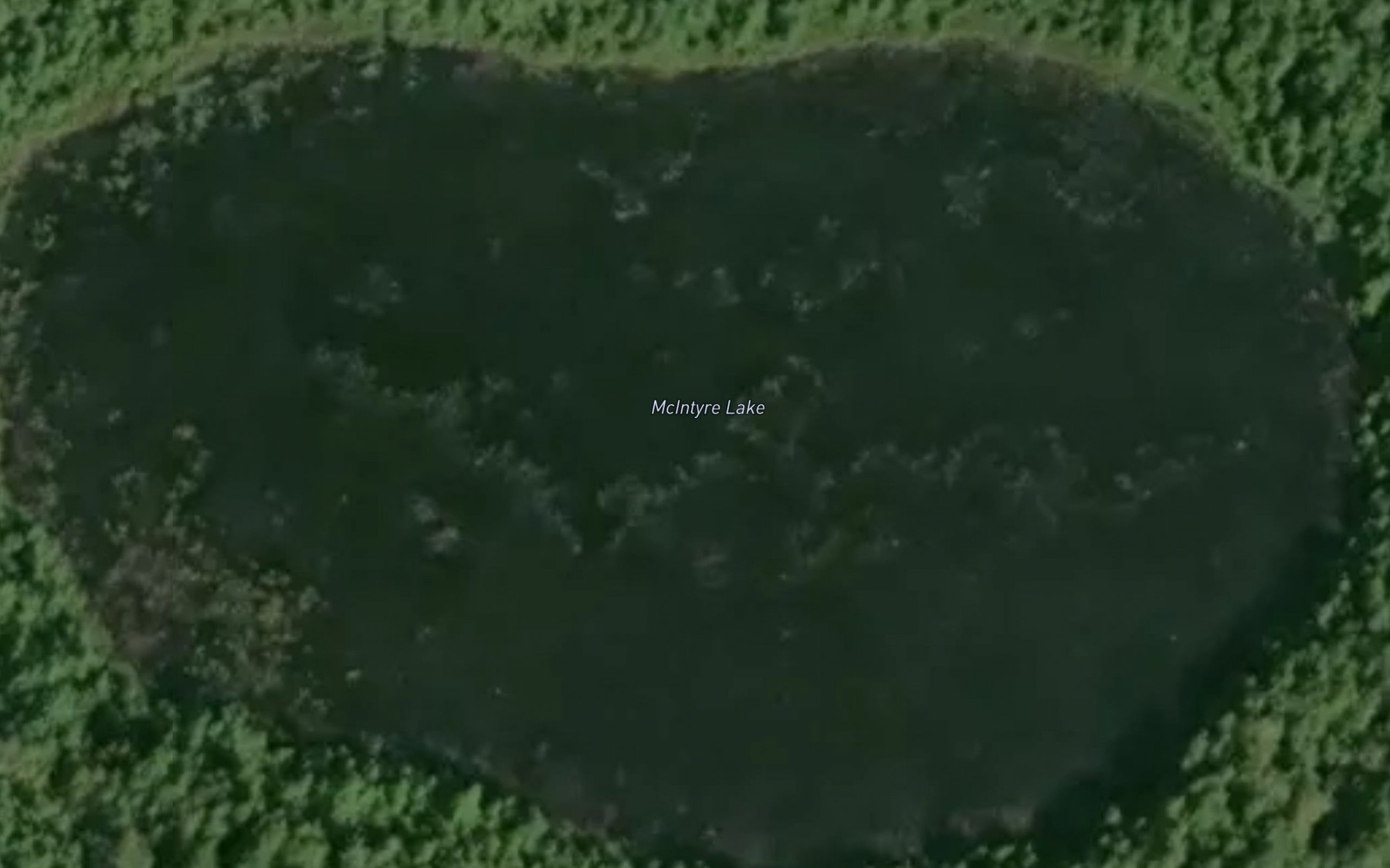 Satellite map of the McIntyre Lake