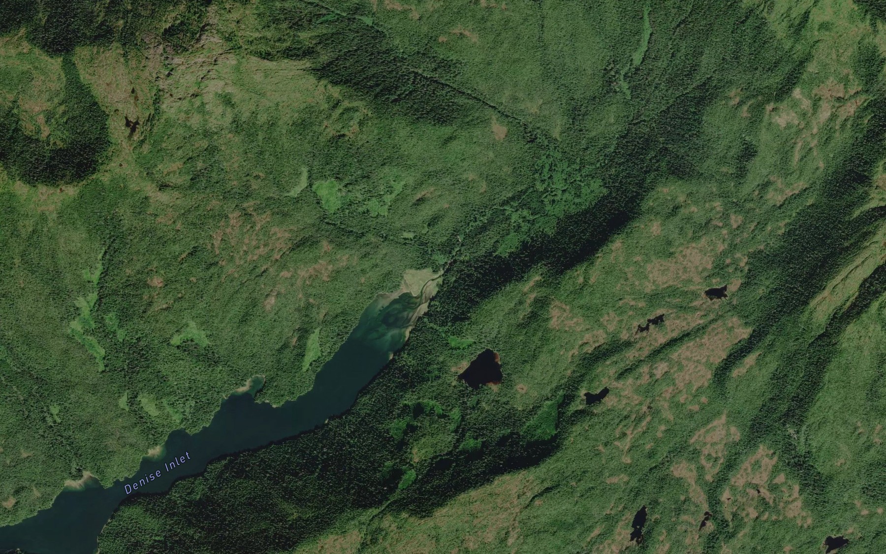 Satellite map of the Denise Creek
