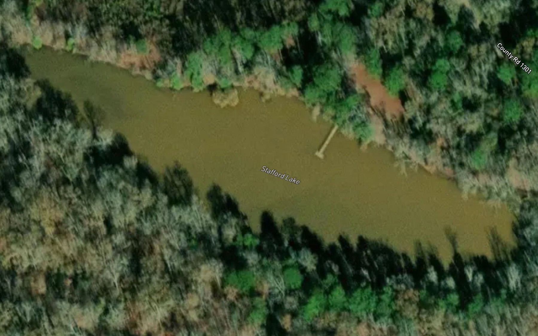Satellite map of the Stafford Lake