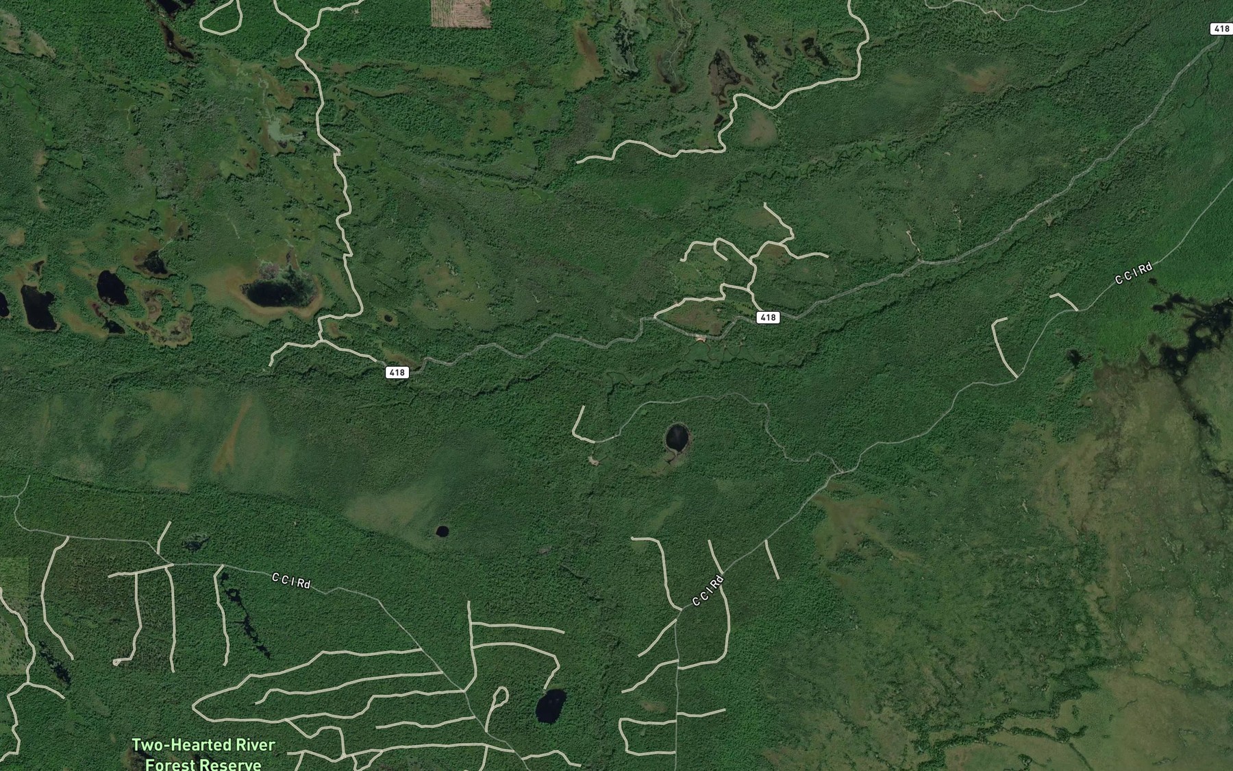 Satellite map of the South Branch Two Hearted River