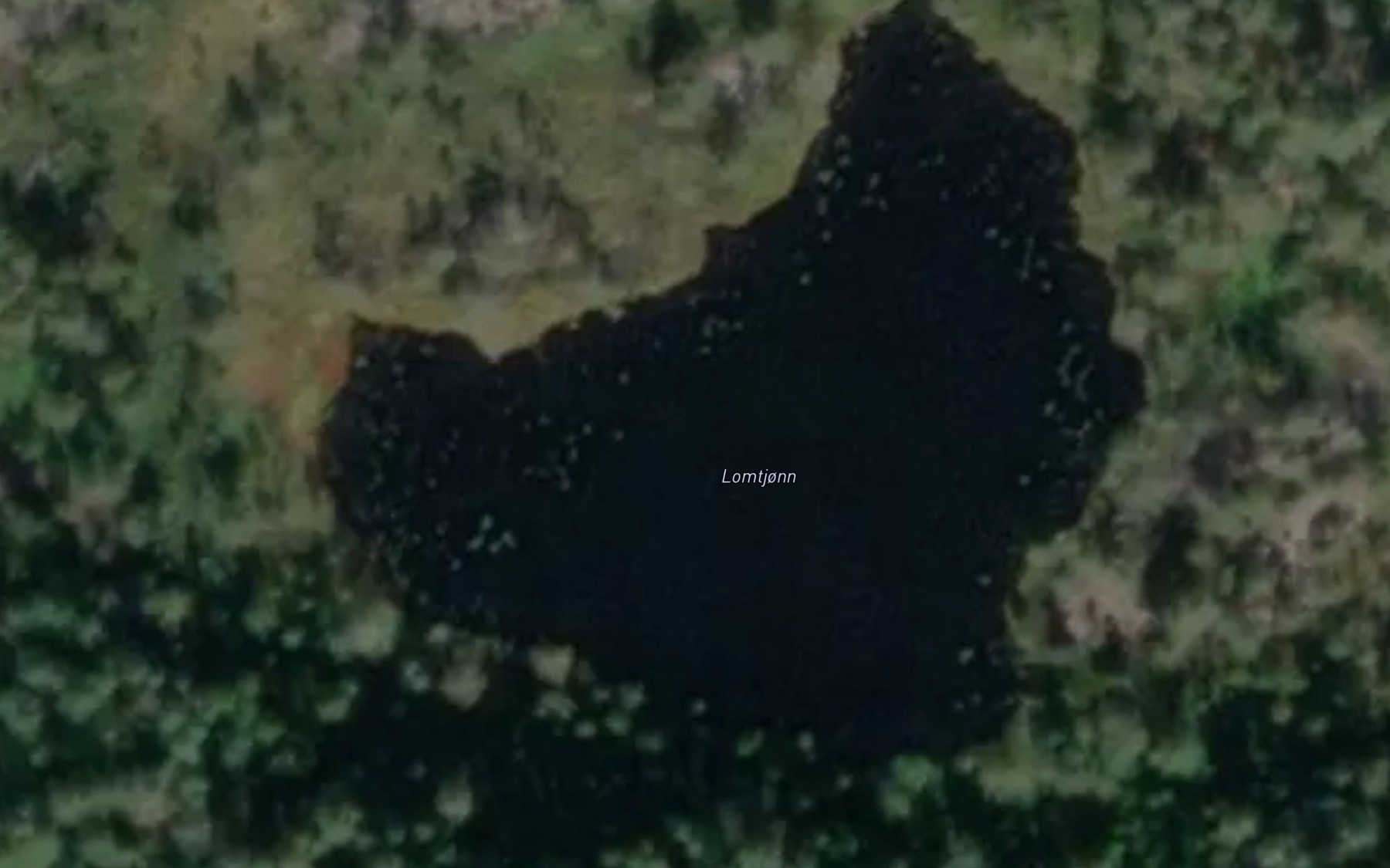 Satellite map of the Lomtjorn