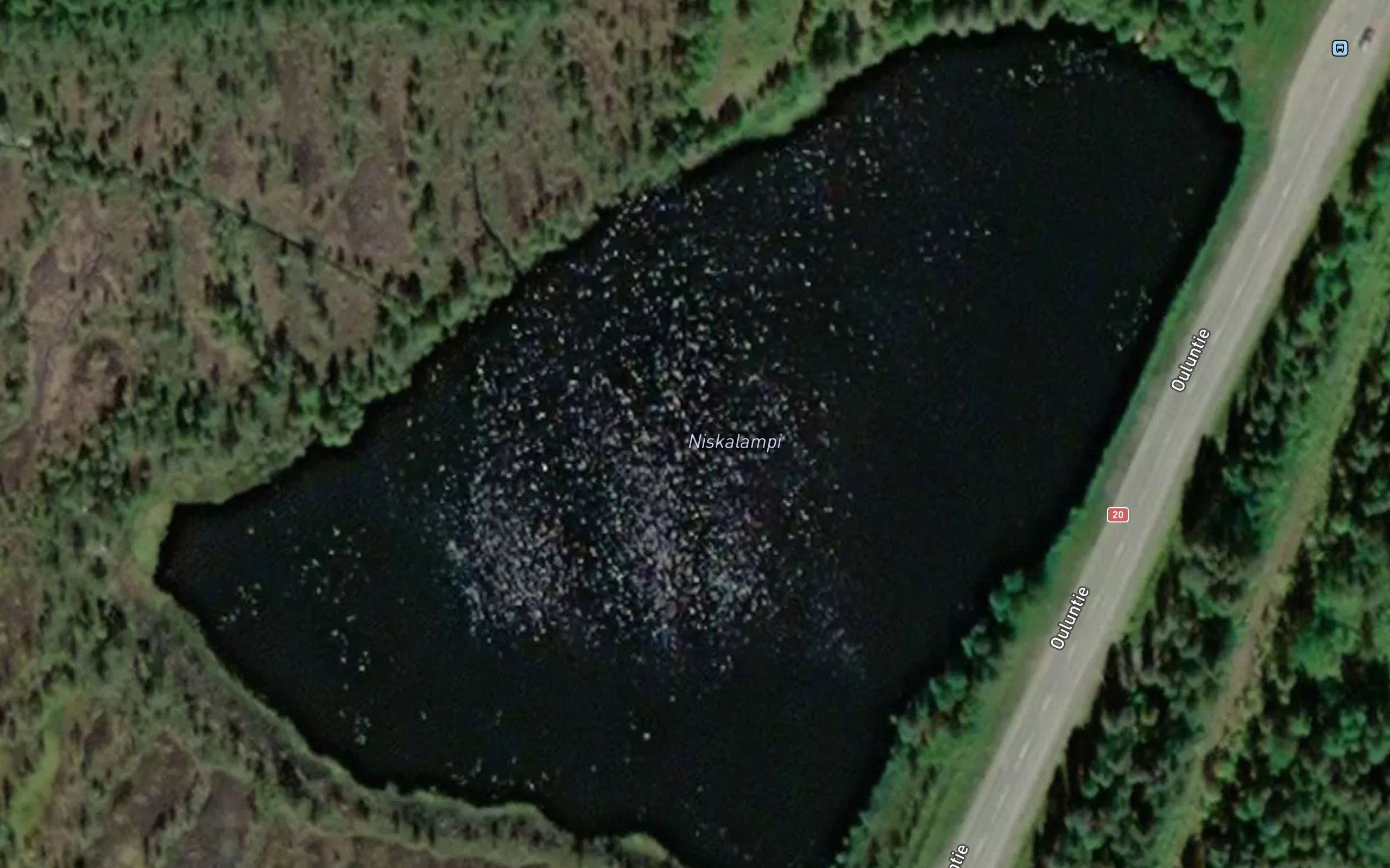 Niskalampi