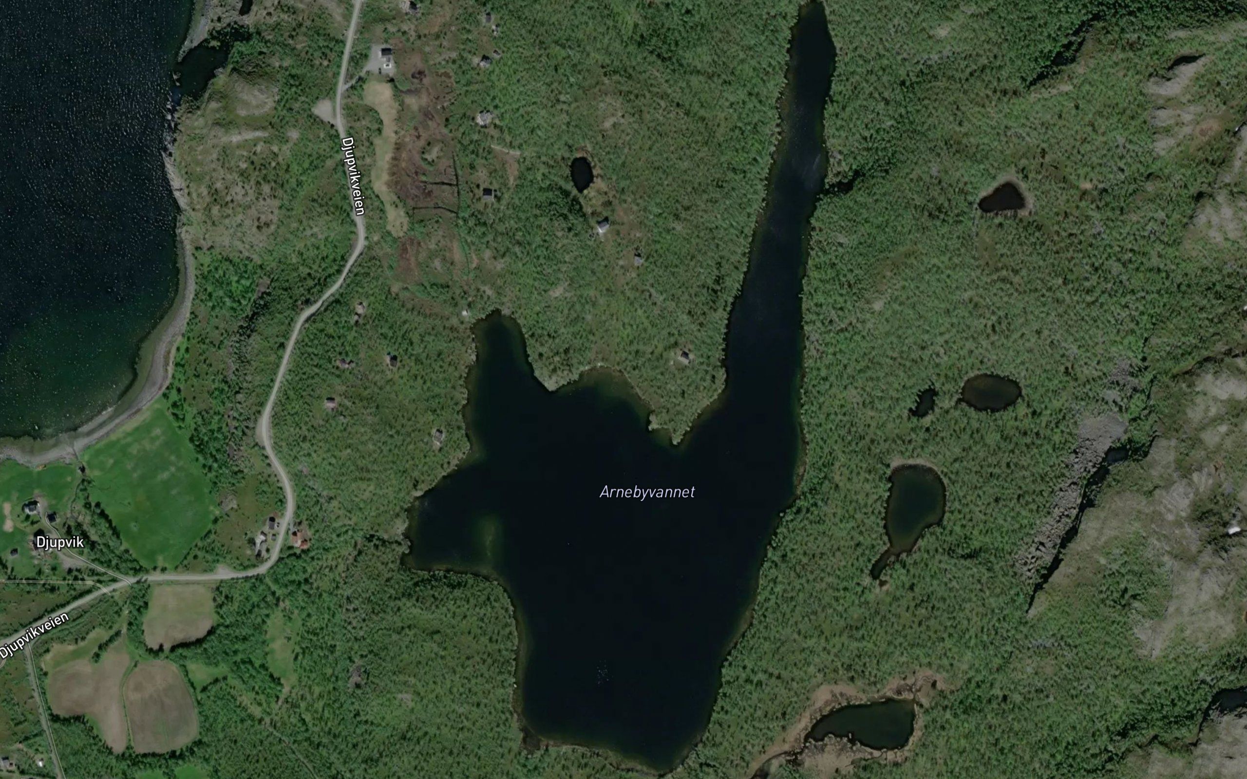Arnebyvatnet