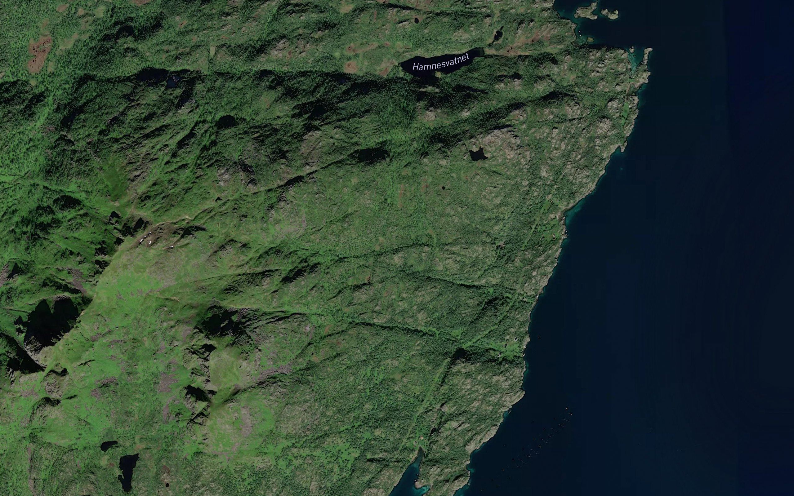 Tortenbakkelva