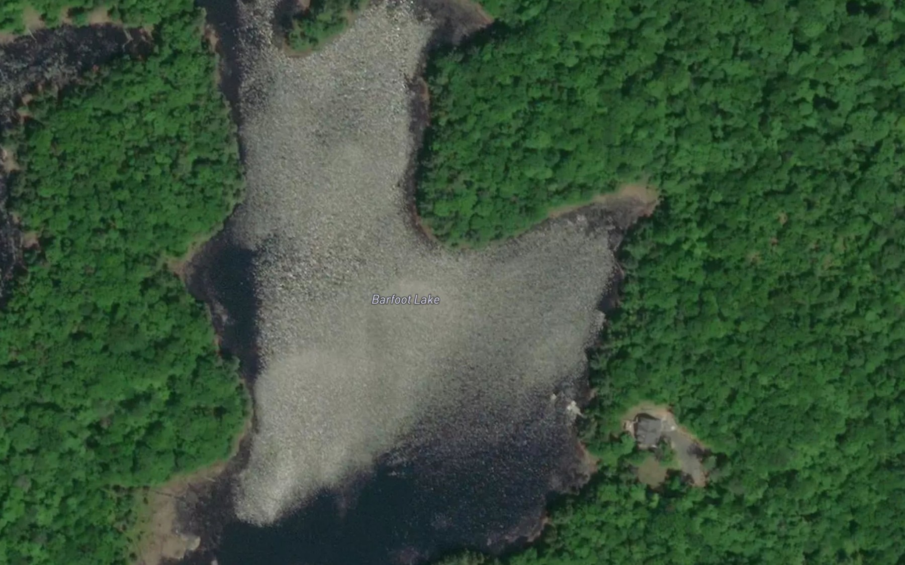 Satellite map of the Barfoot Lake