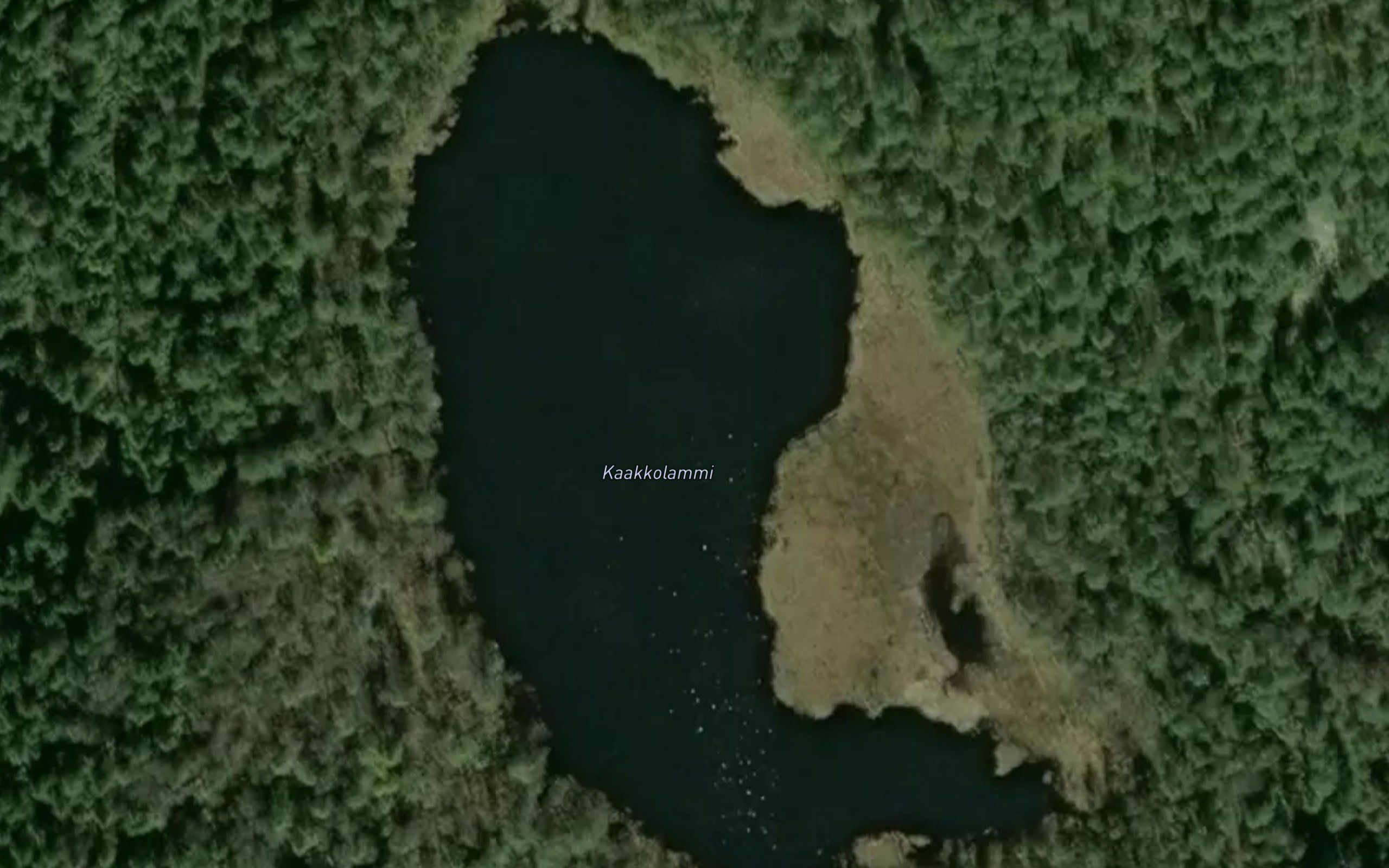 Kaakkolammi