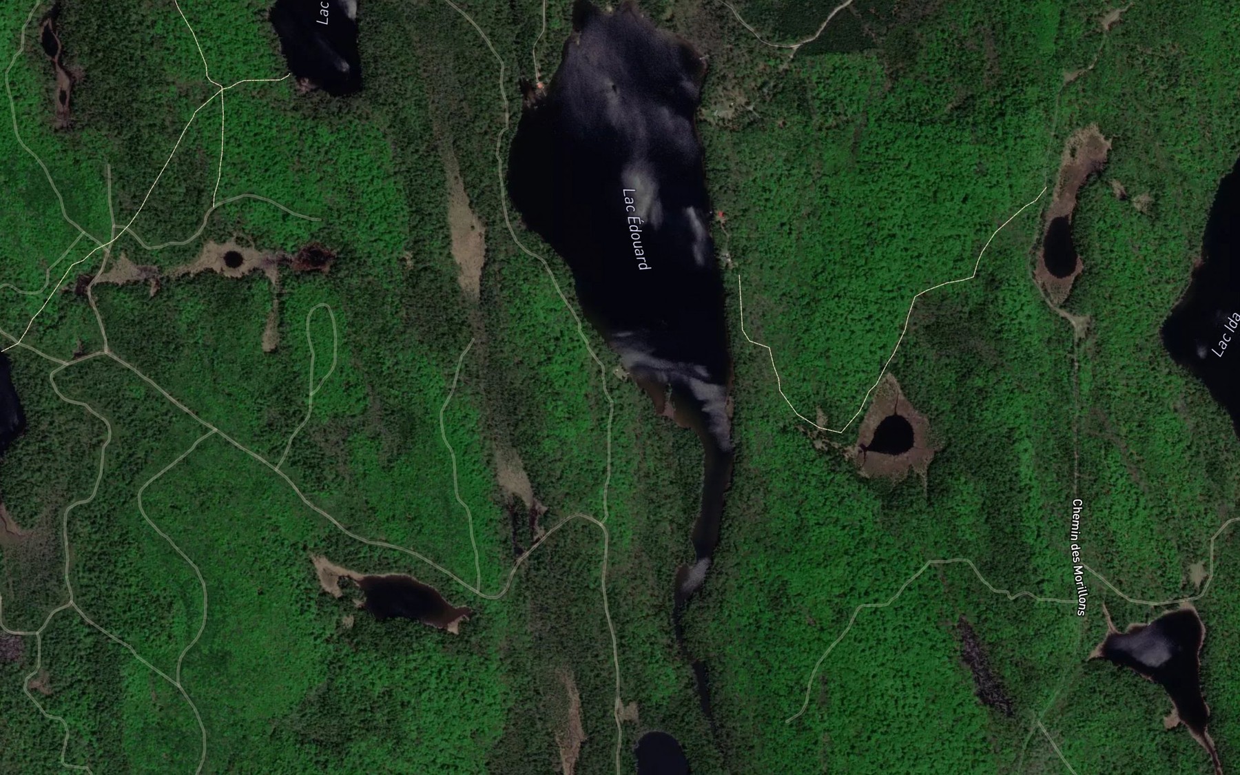 Satellite map of the Lac Edouard