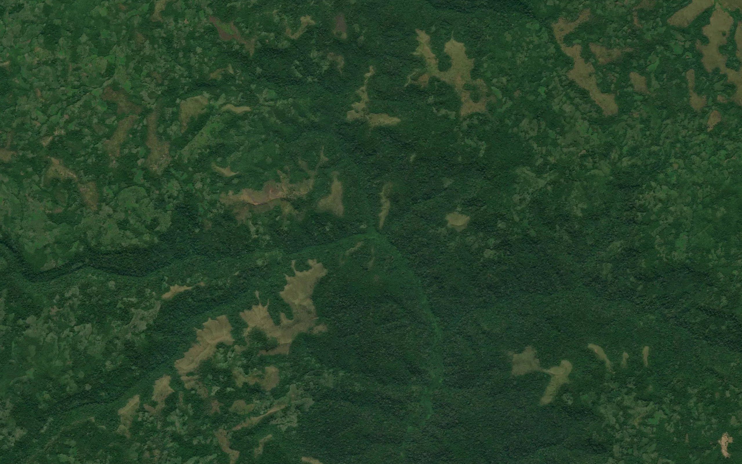 Senga