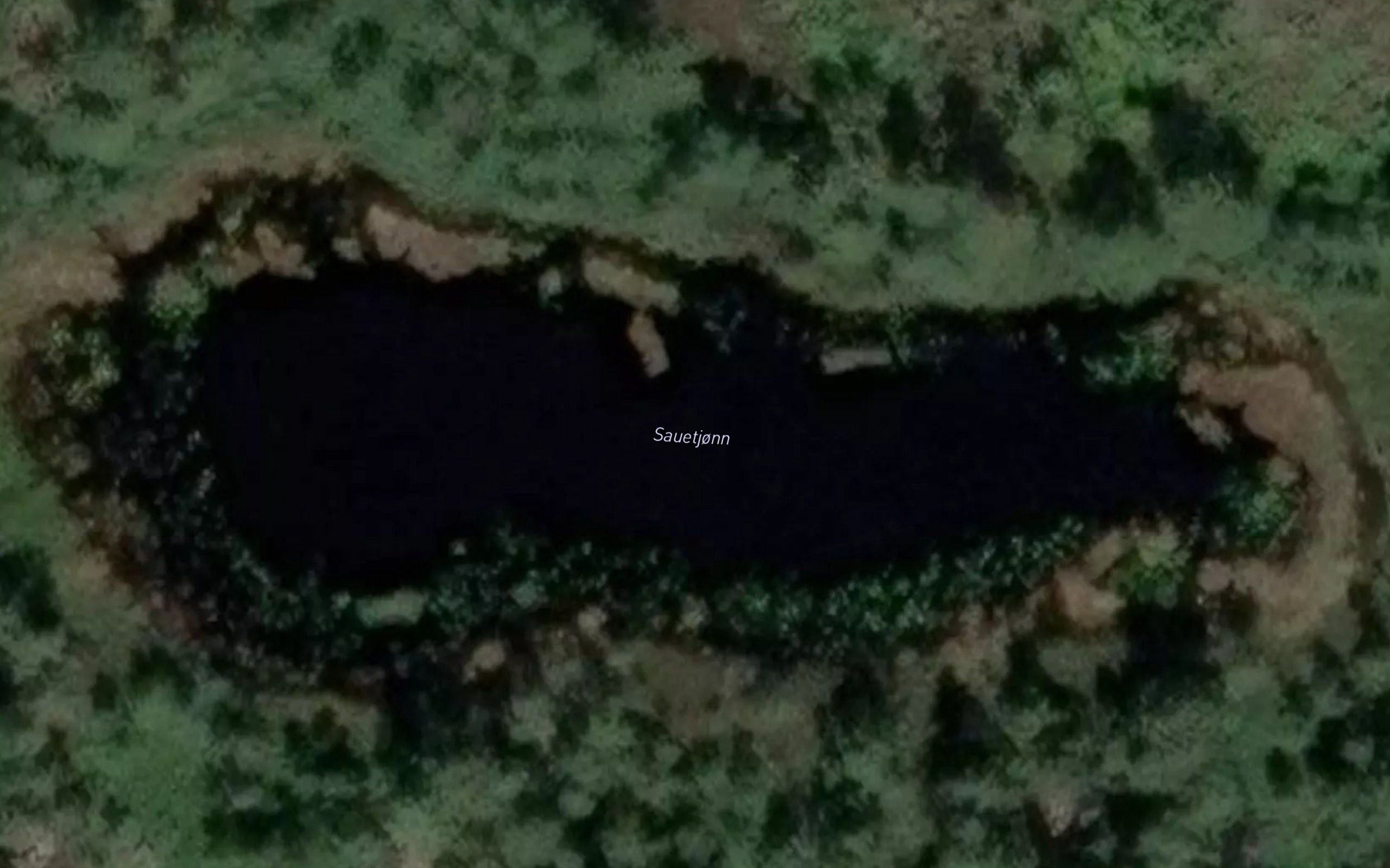 Sauetjonn