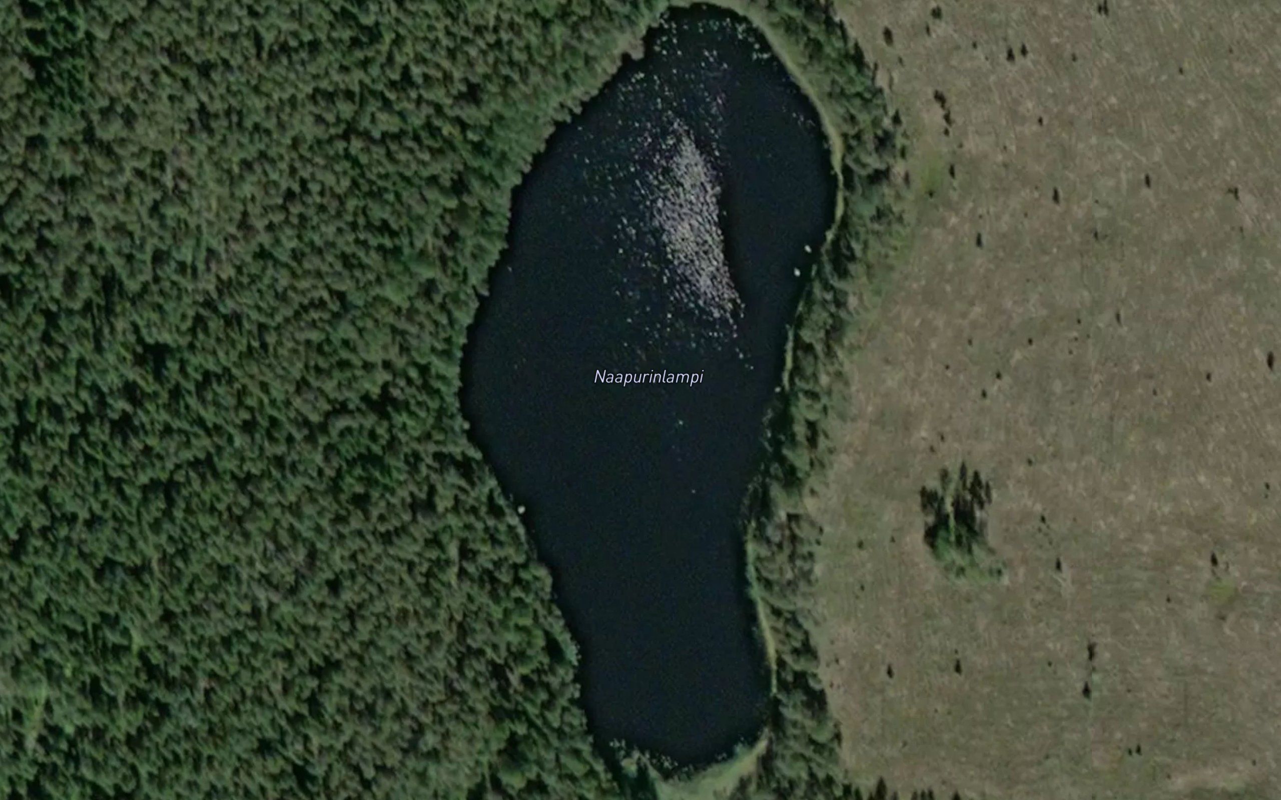 Naapurinlampi