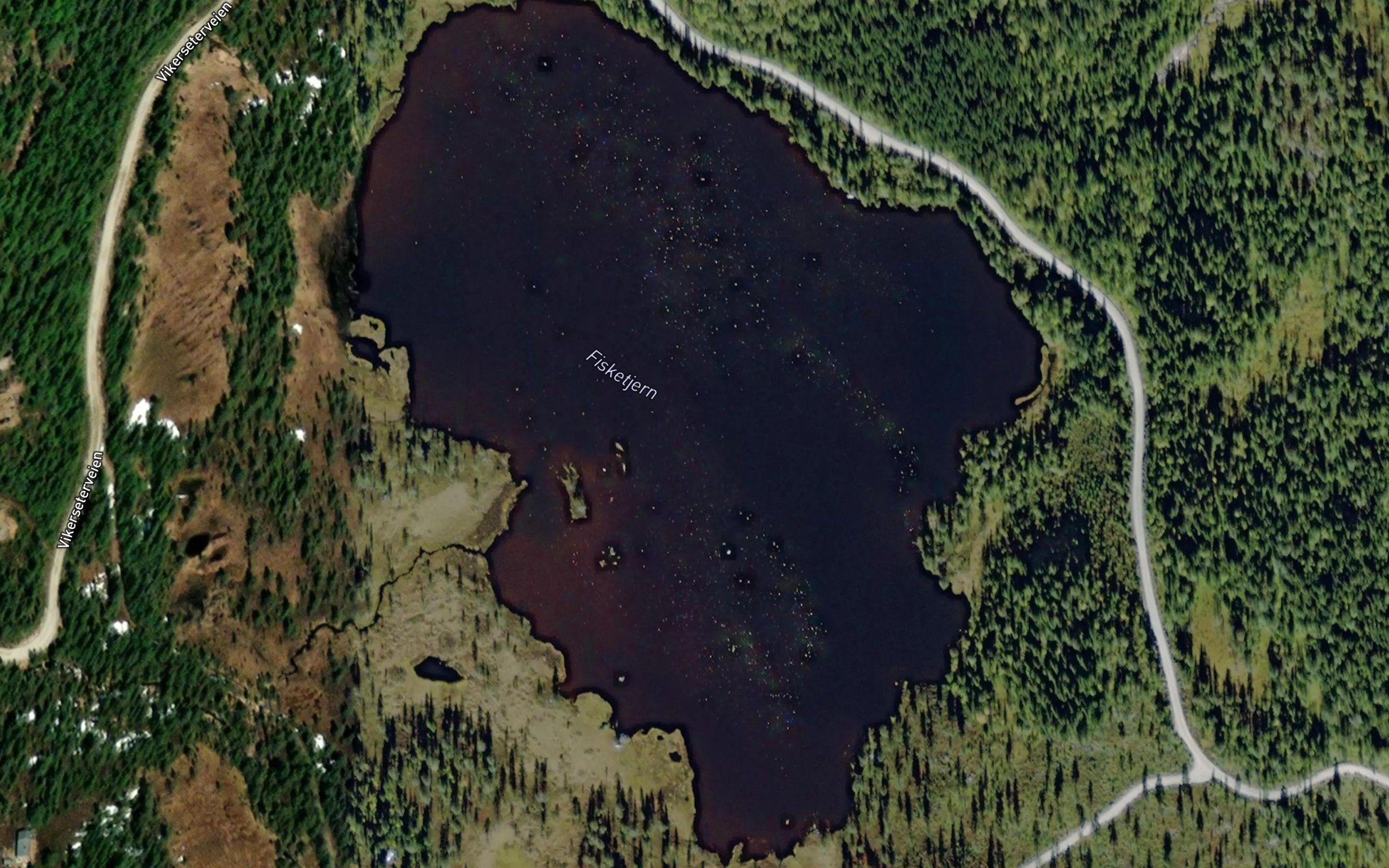Fisketjern