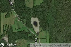 Mud Pond