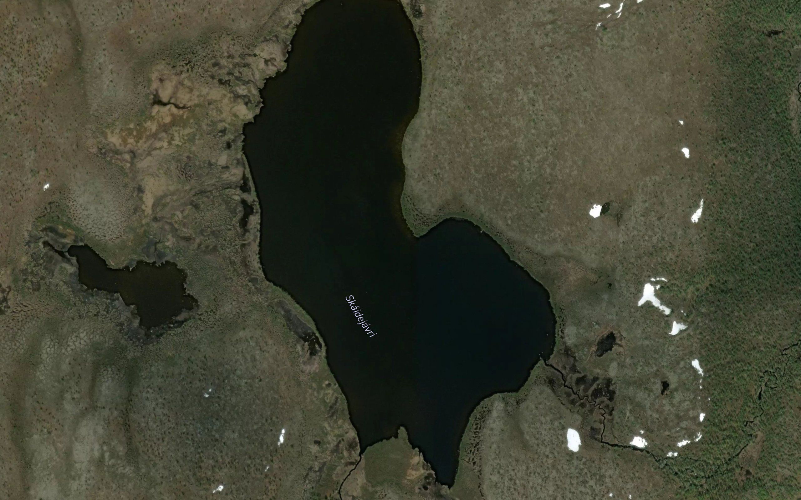 Skaidejavri