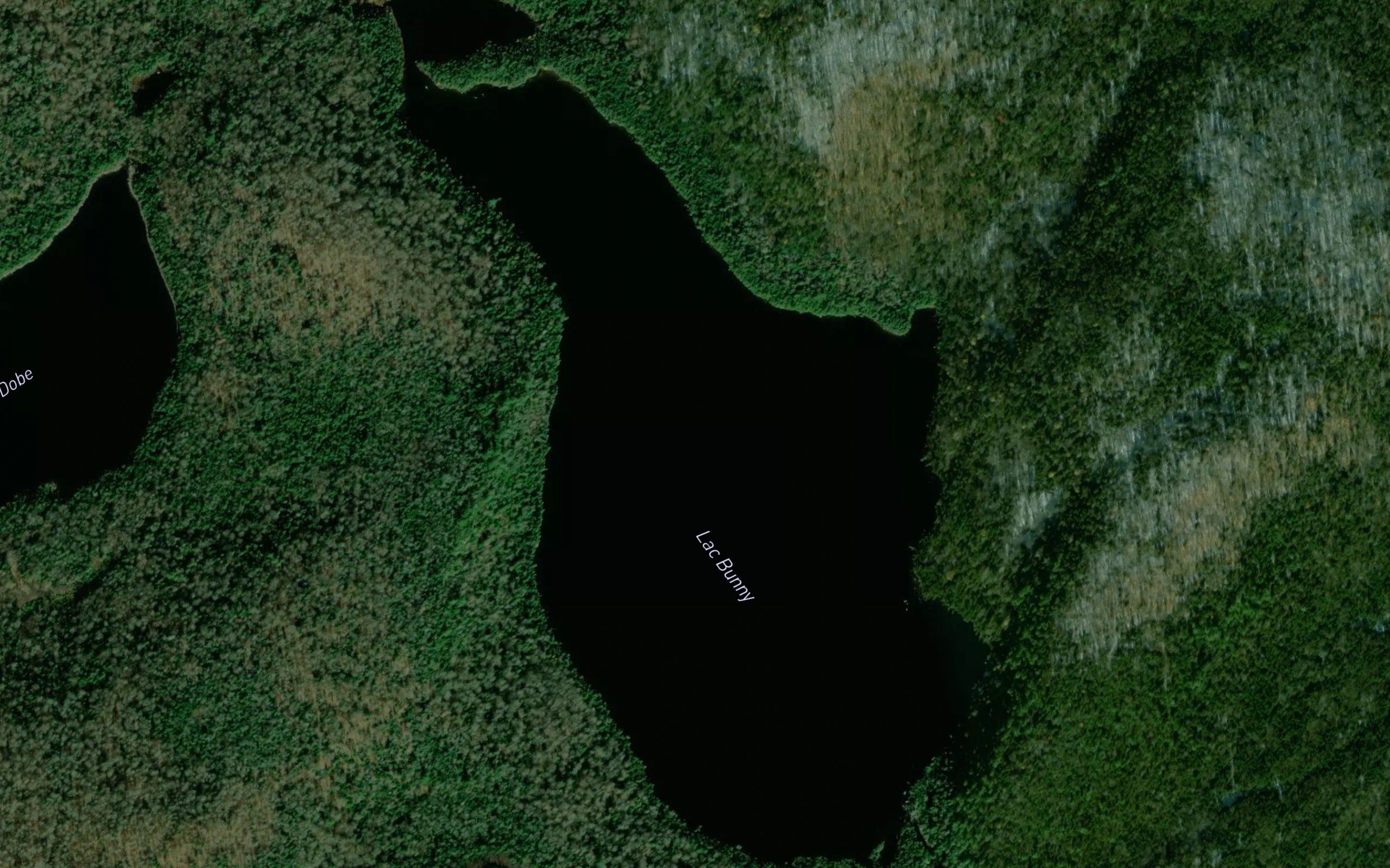 Lac Bunny