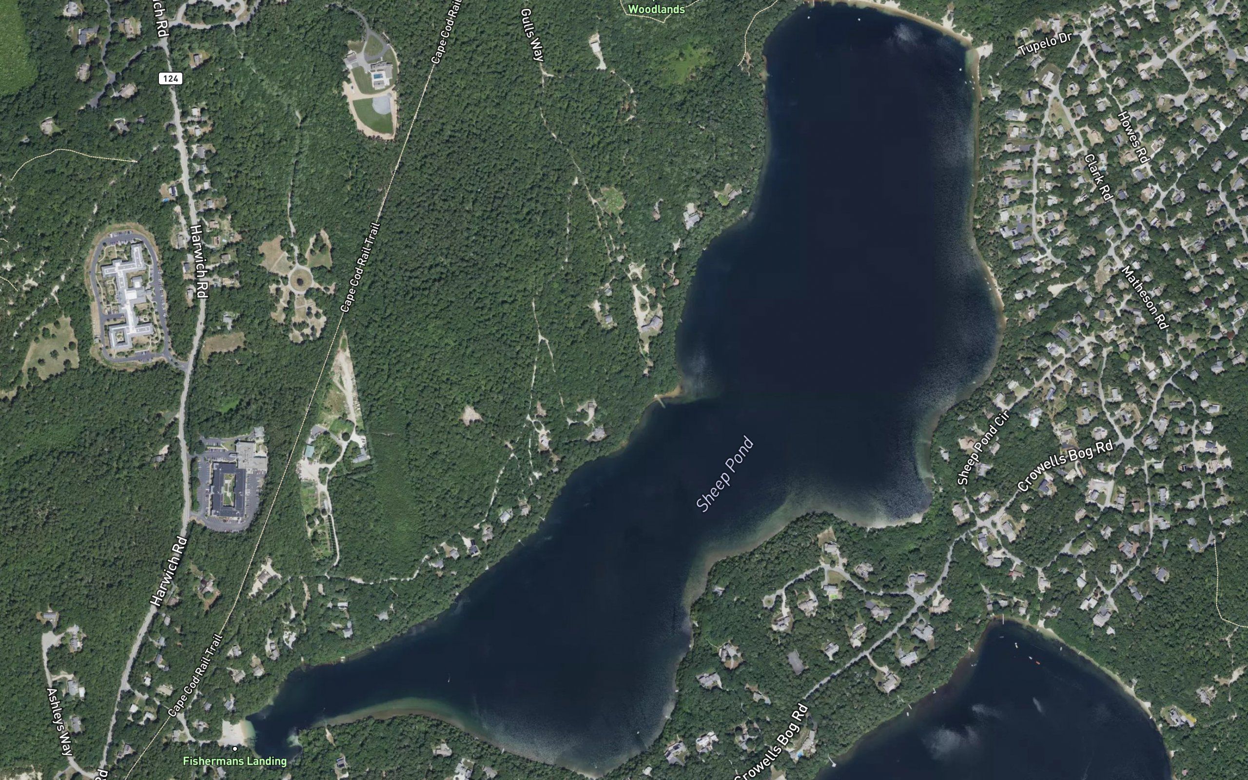 Sheep Pond