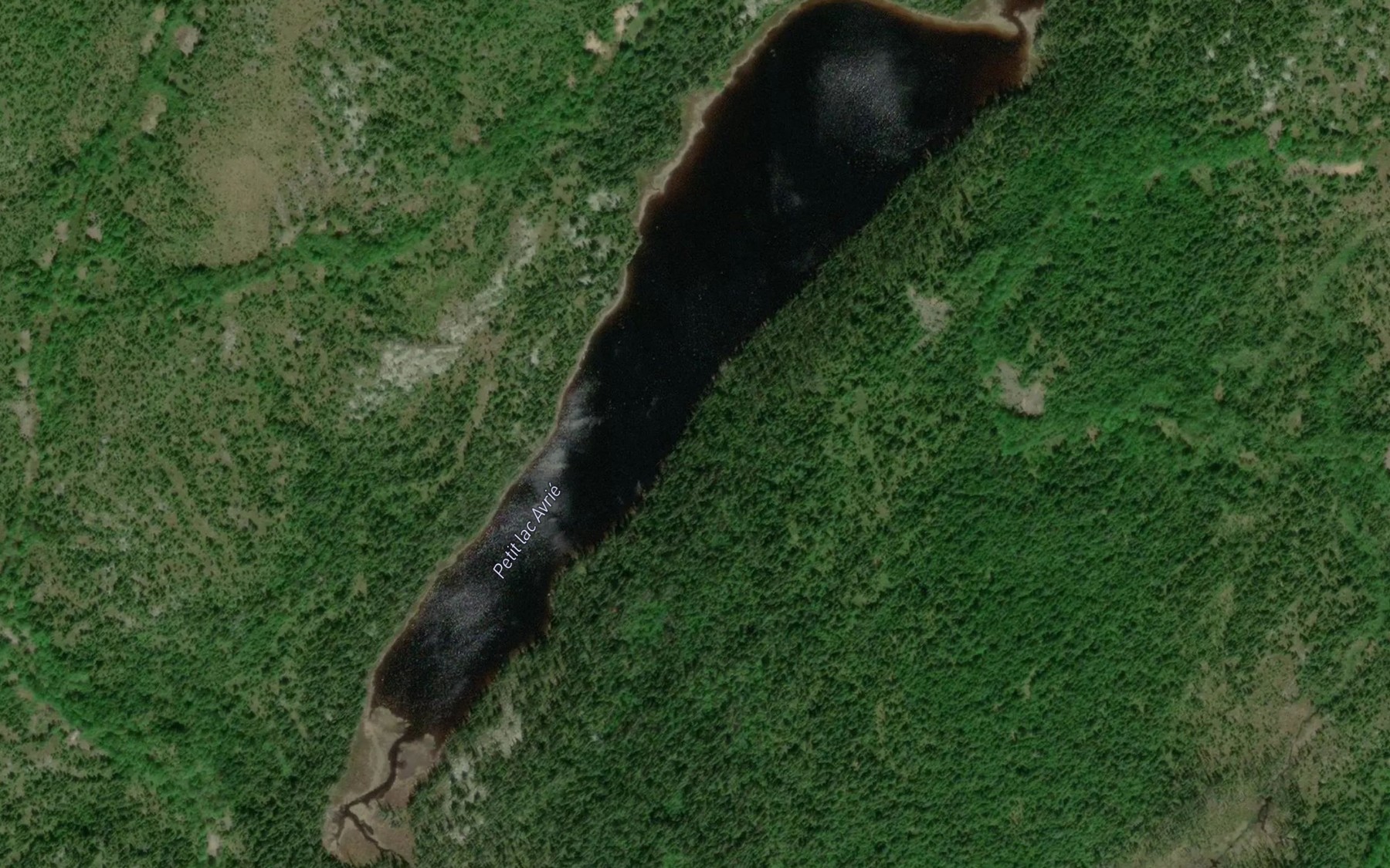 Satellite map of the Petit lac Avrie
