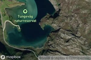 Kjokkenvika