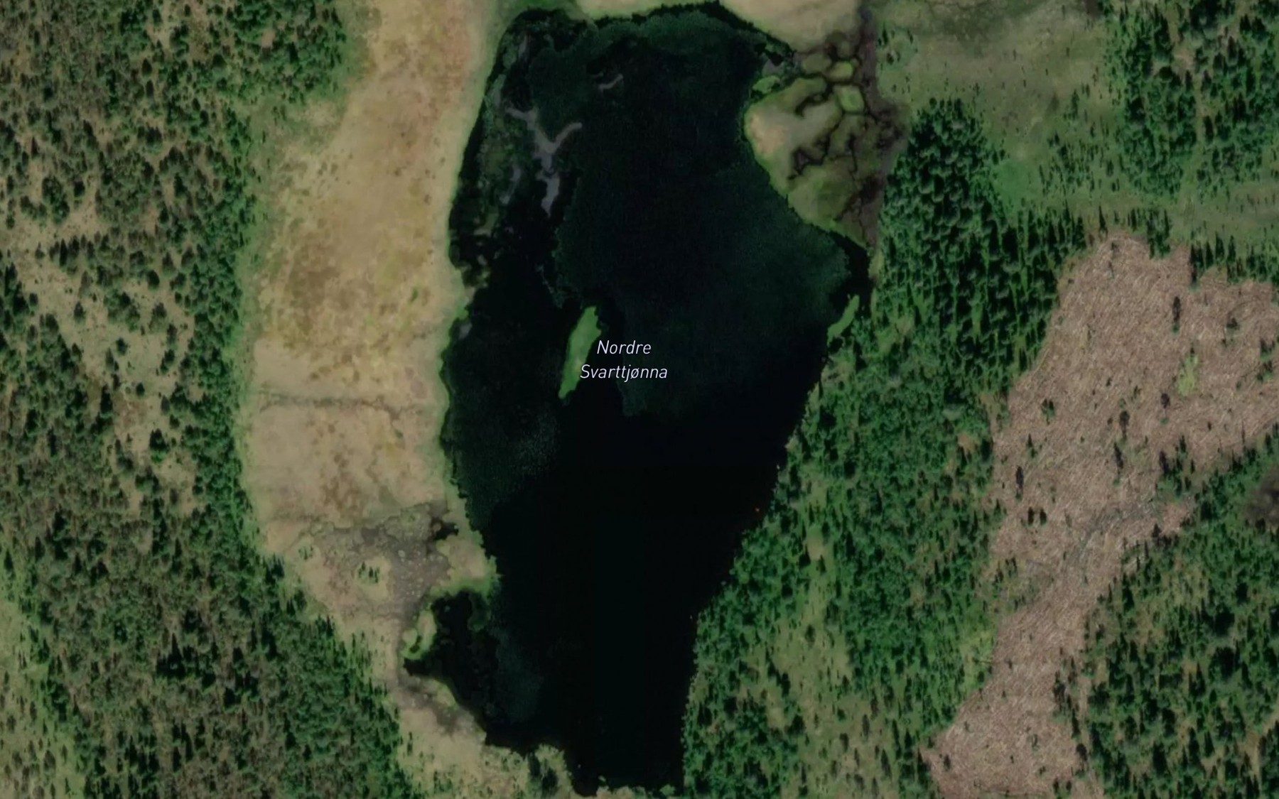 Satellite map of the Svarttjornane