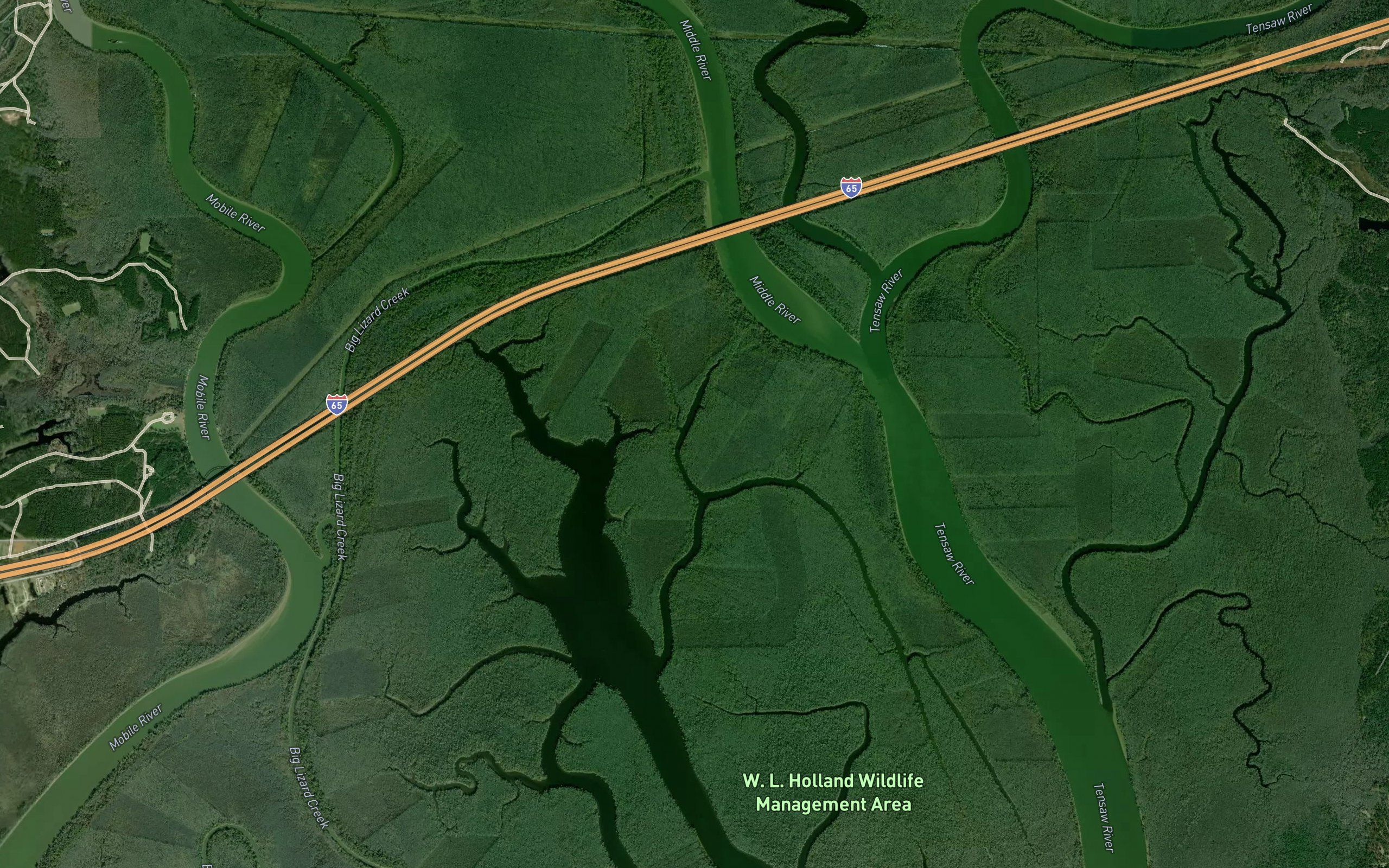 Bayou Avalon