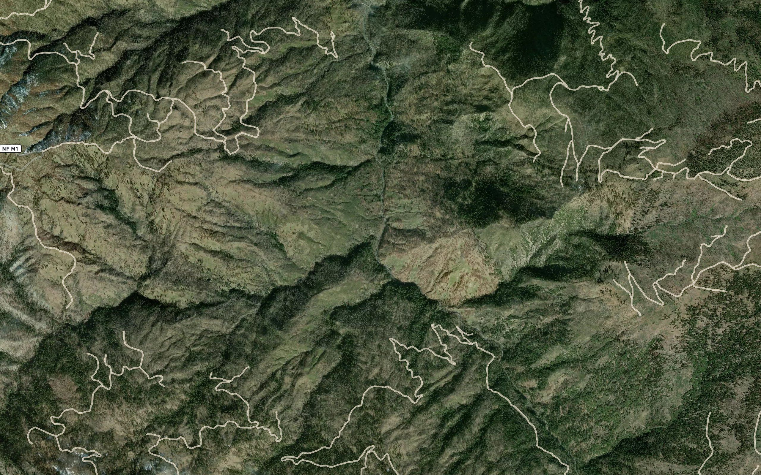 Baldy Creek