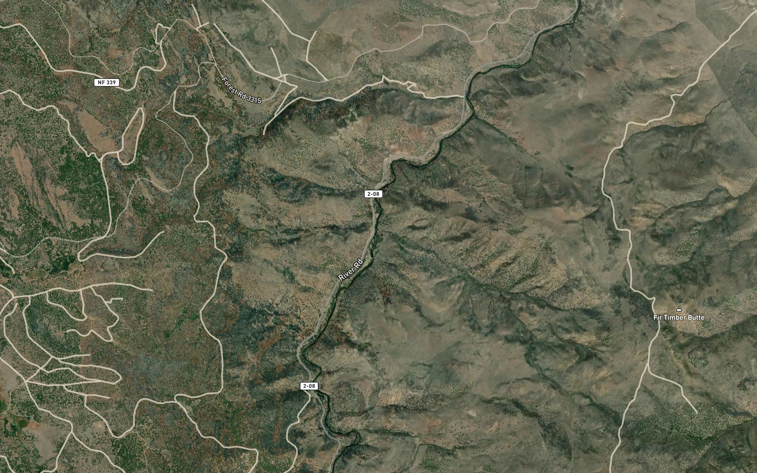 Juniper Creek