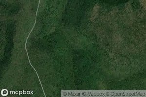 Second Fork Barney Run