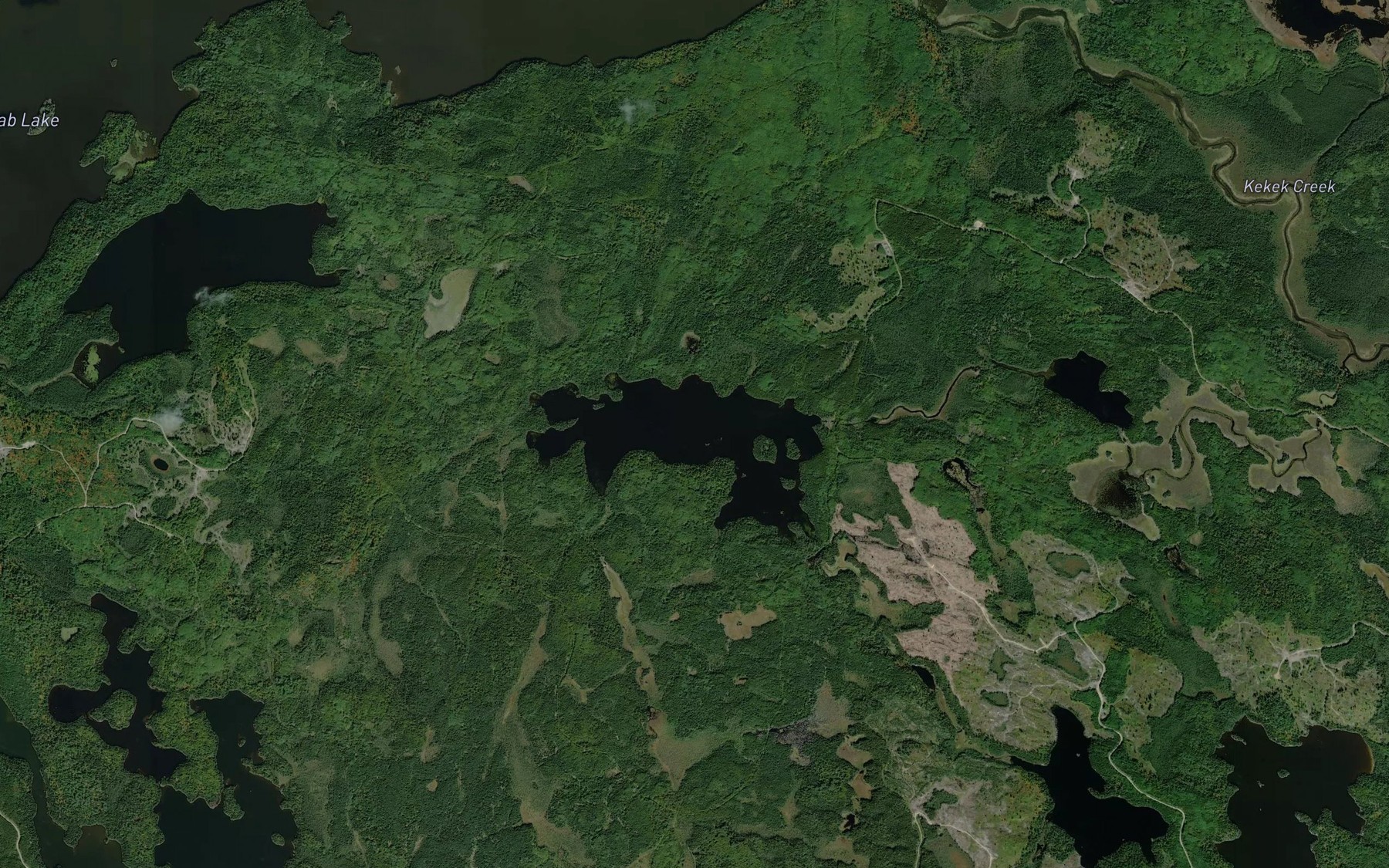 Satellite map of the Murphy Lake