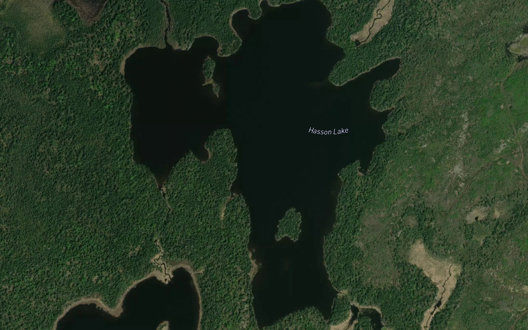 Satellite map of the Hasson Lake