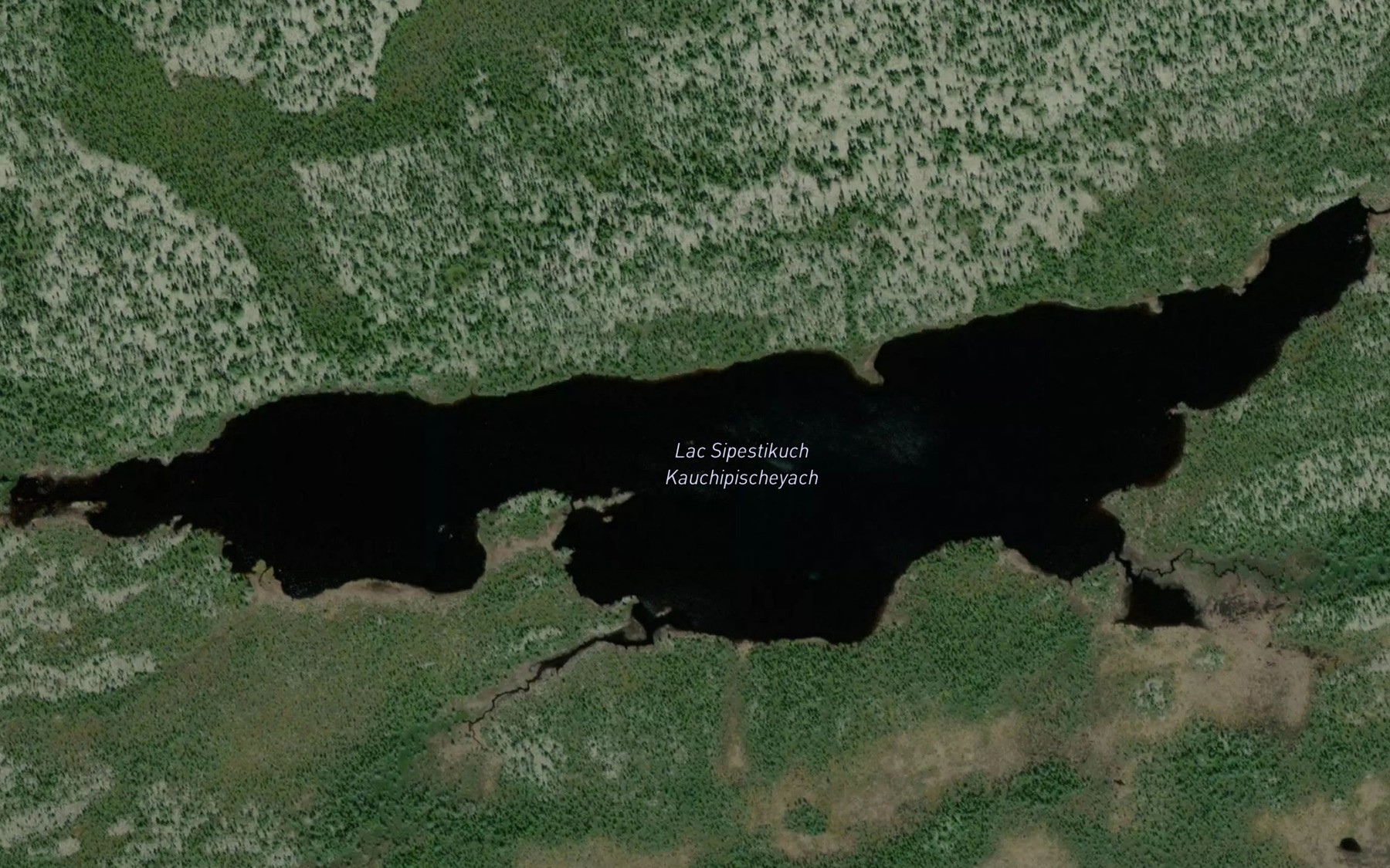 Satellite map of the Lac Sipestikuch Kauchipischeyach