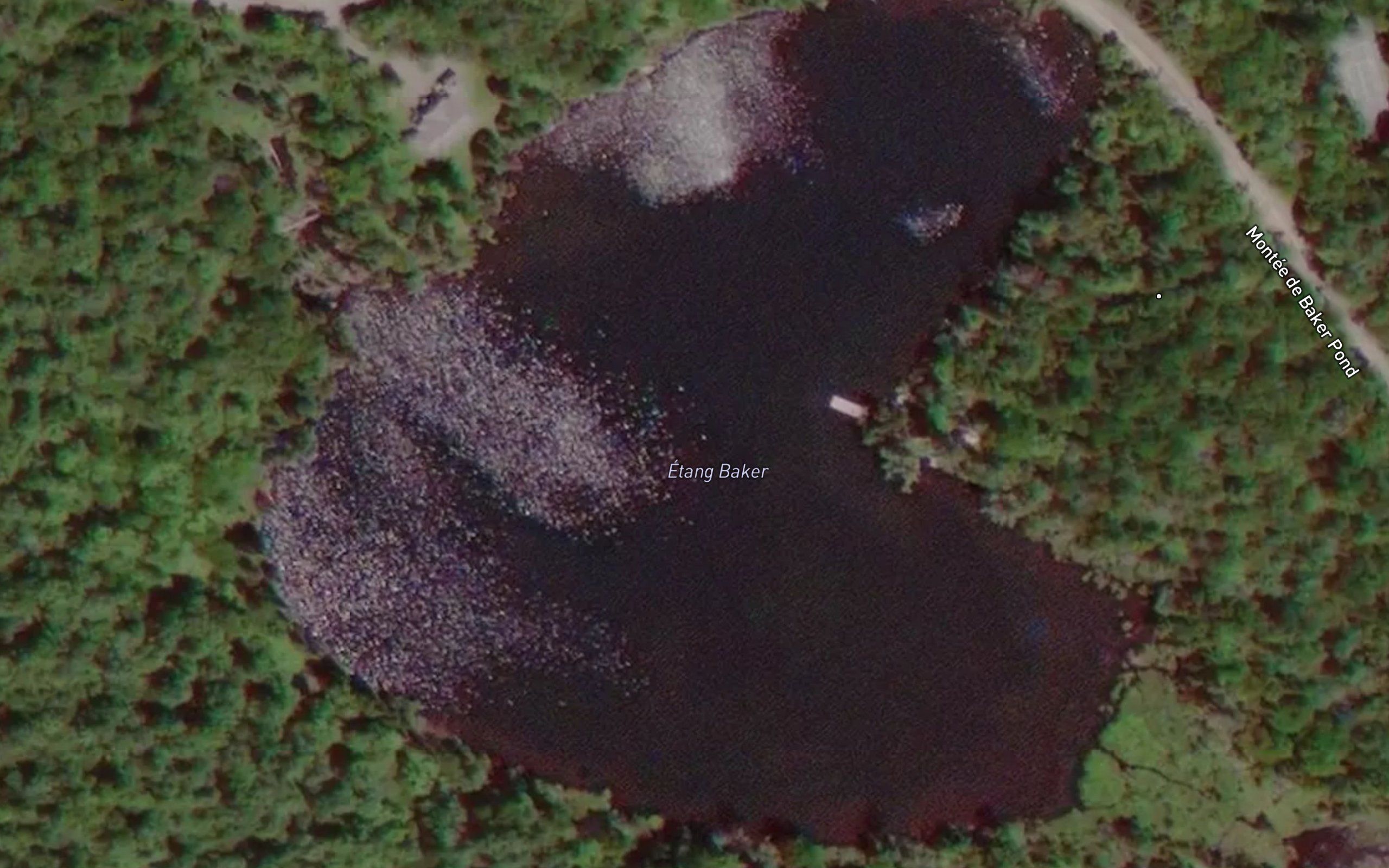 Etang Baker