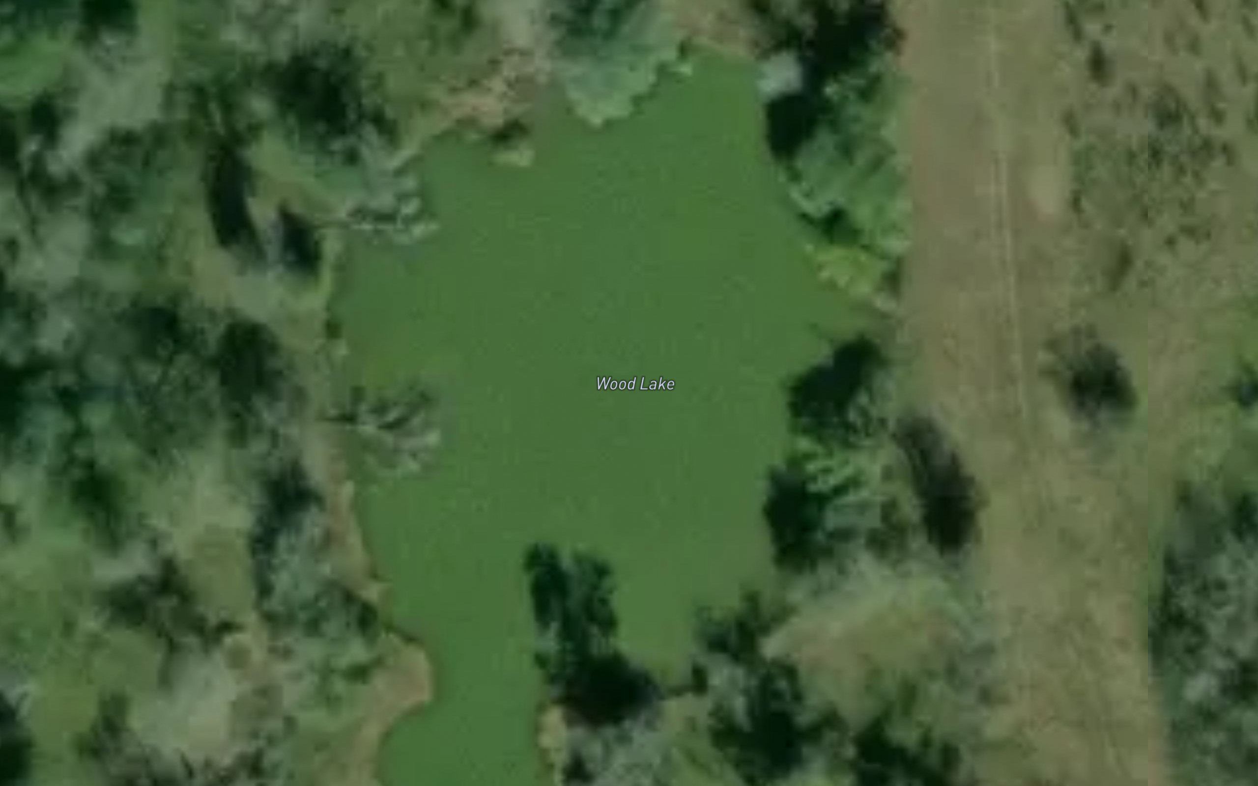 Wood Lake