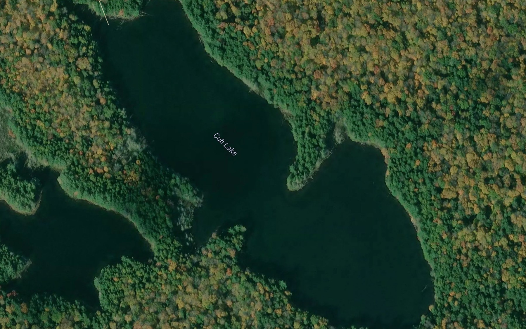 Satellite map of the Cub Lake