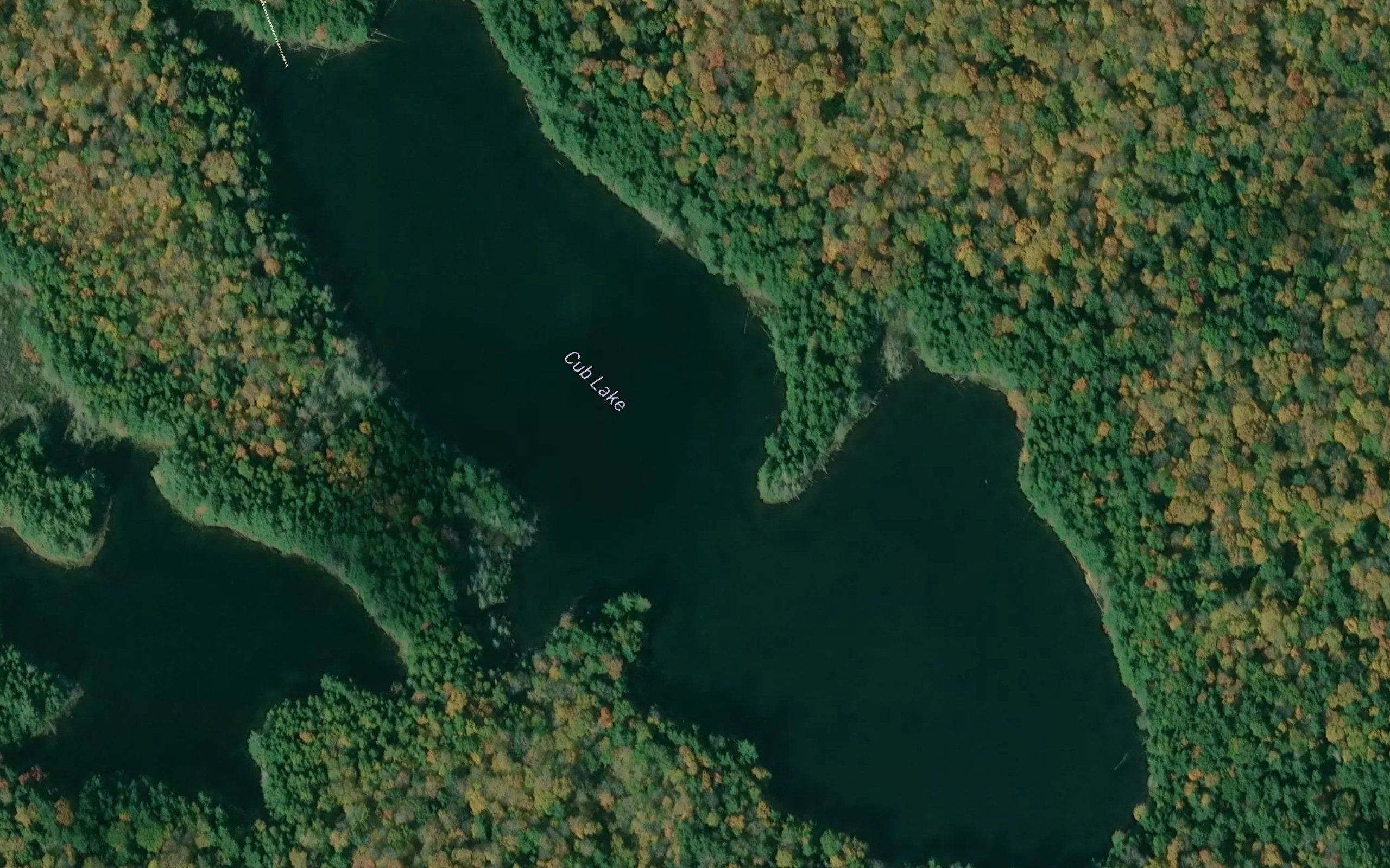 Cub Lake