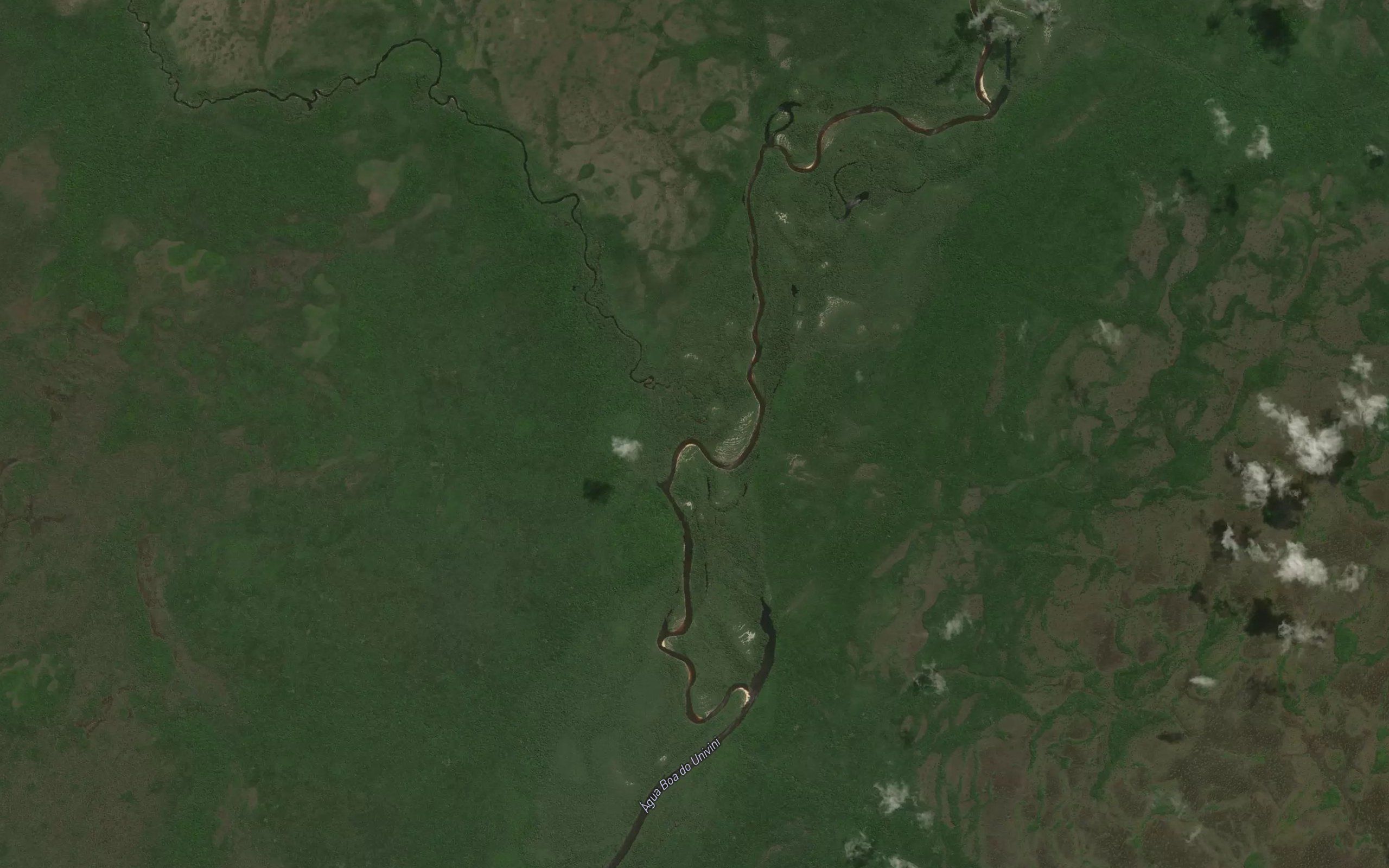 Igarape Bacaba