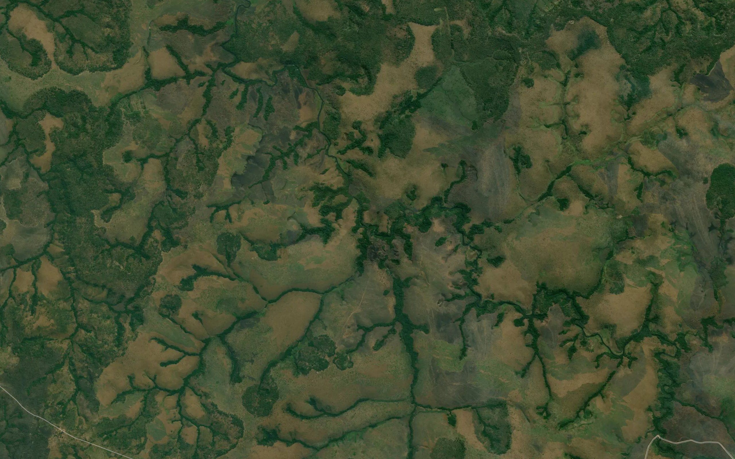 Tchala