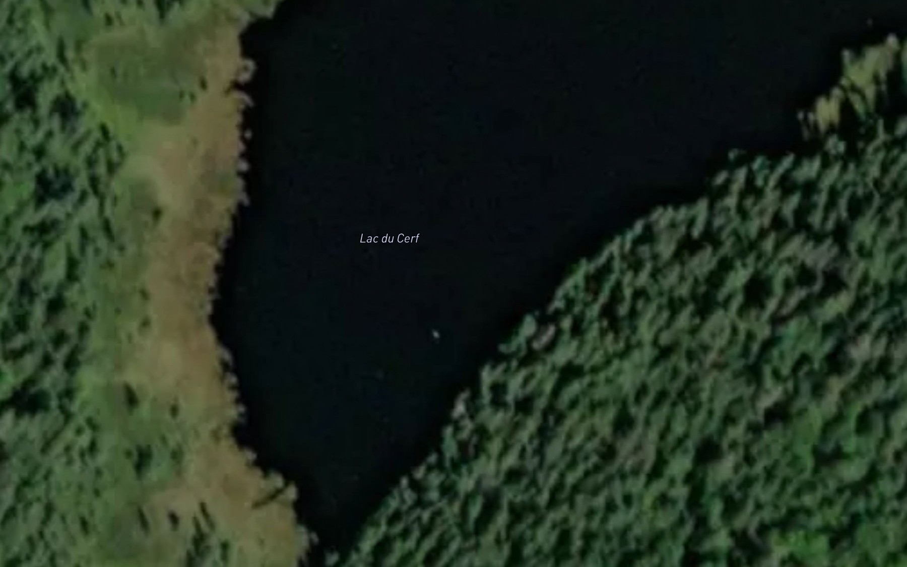 Satellite map of the Lac du Cerf