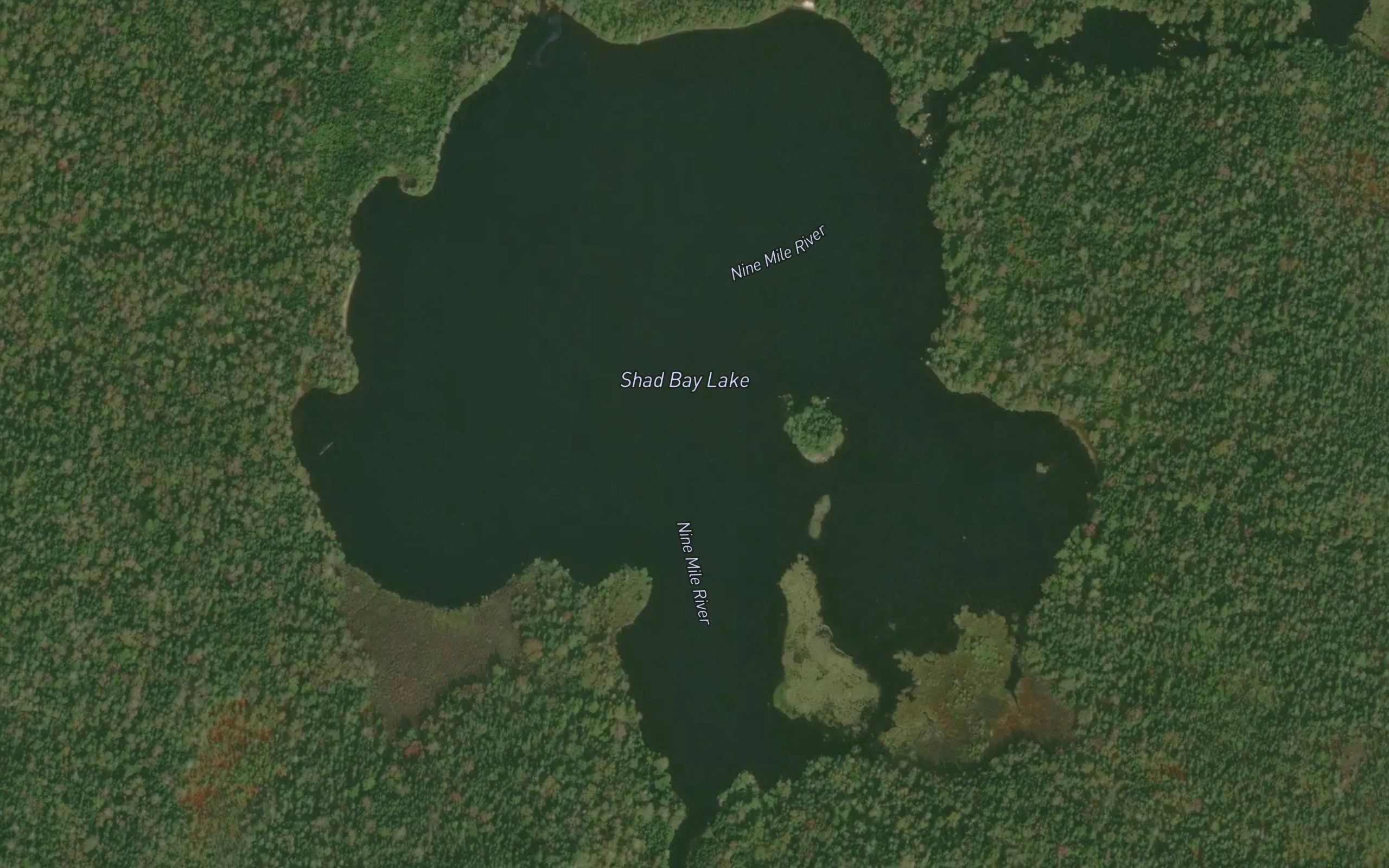 Shad Bay Lake
