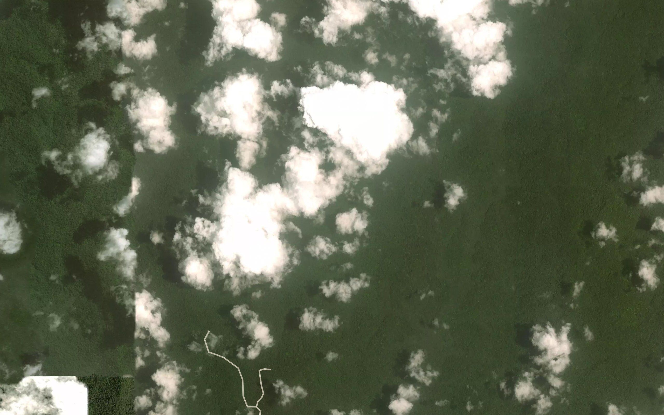 Nkonzog