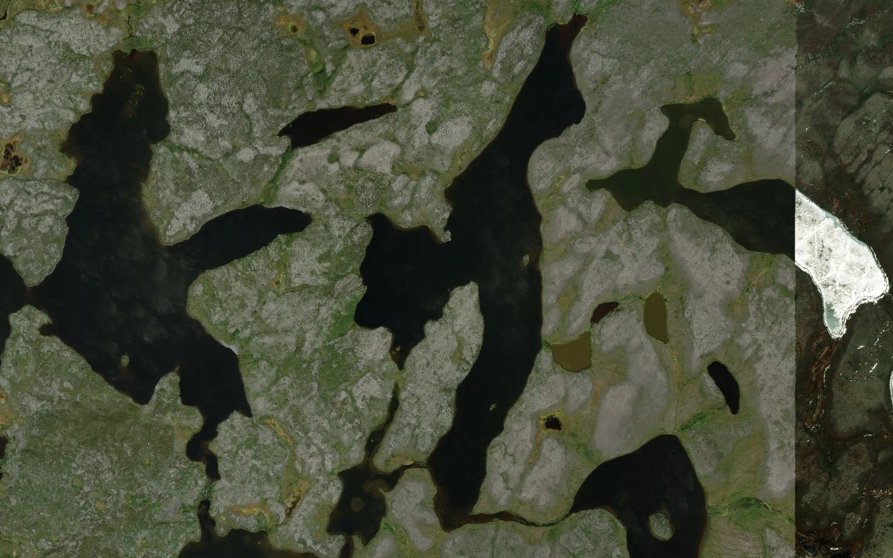 Satellite map of the Mamchur Lake