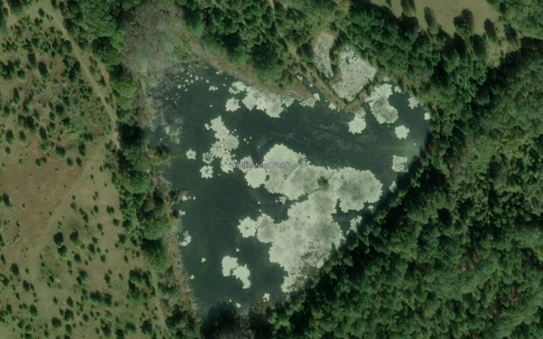 Satellite map of the Hollinshead Pond