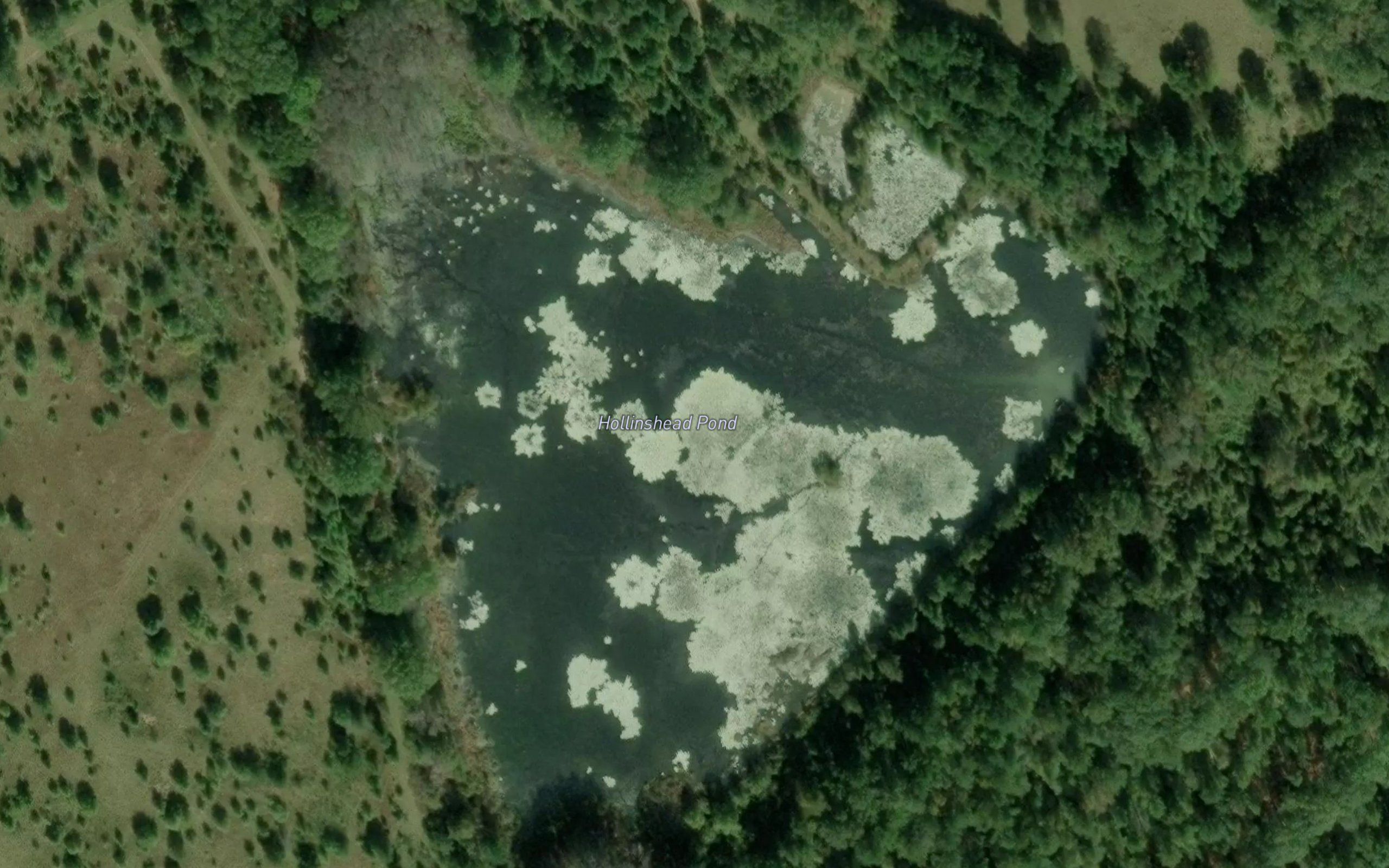 Hollinshead Pond