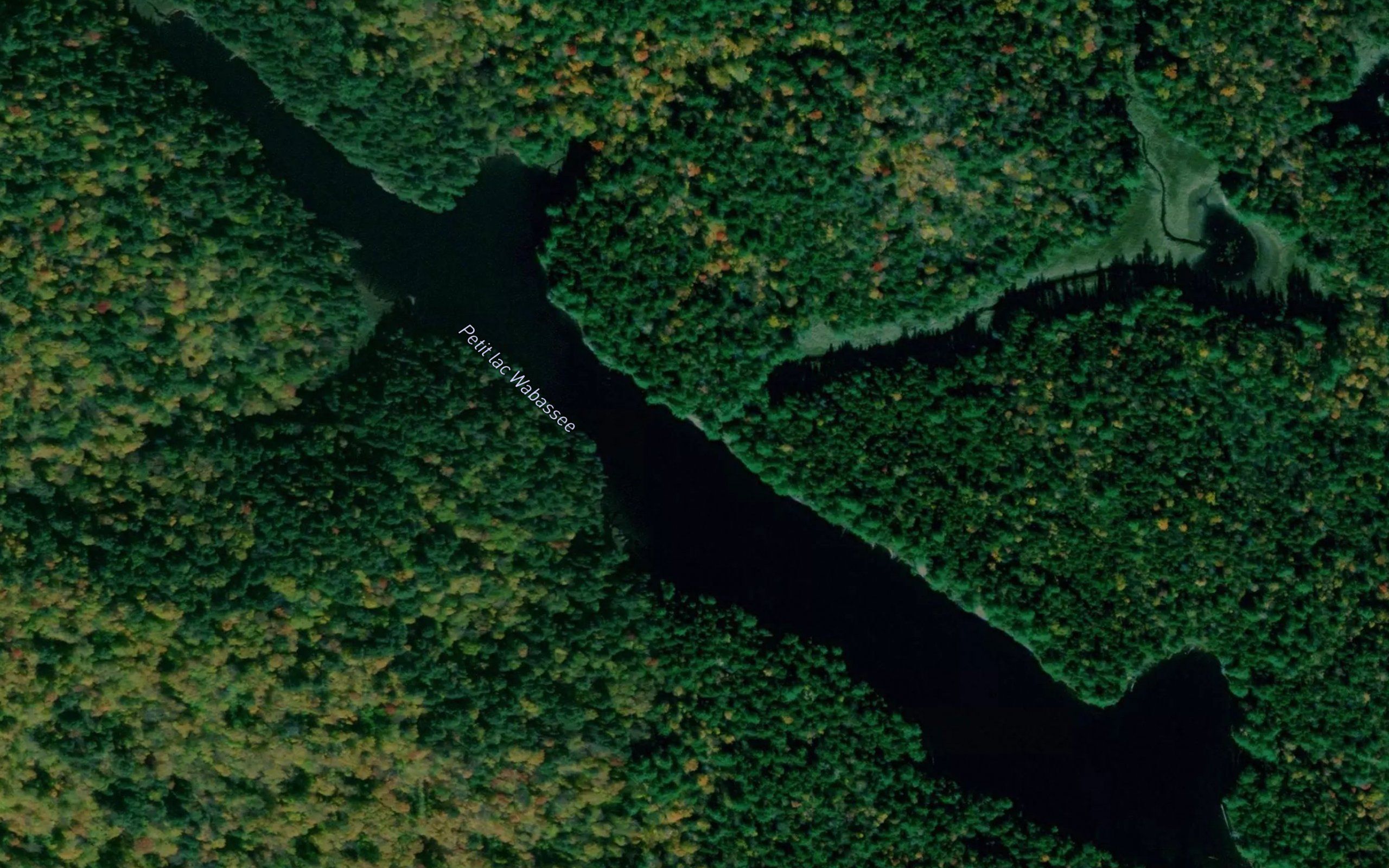 Petit lac Wabassee