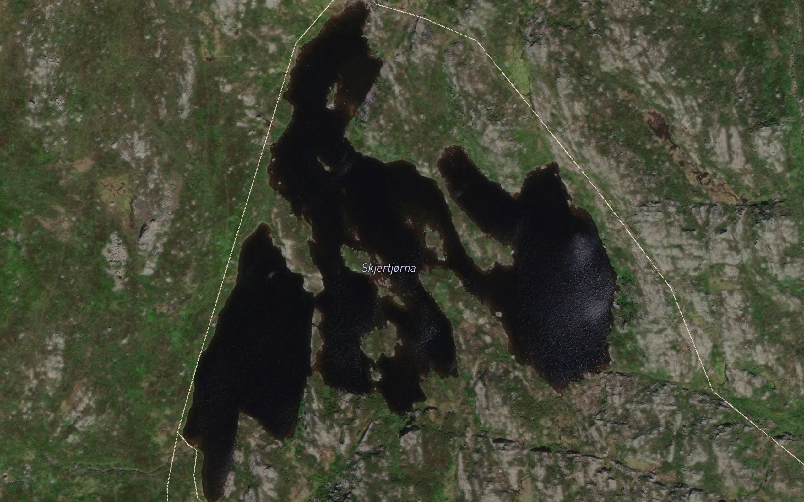 Skjertja