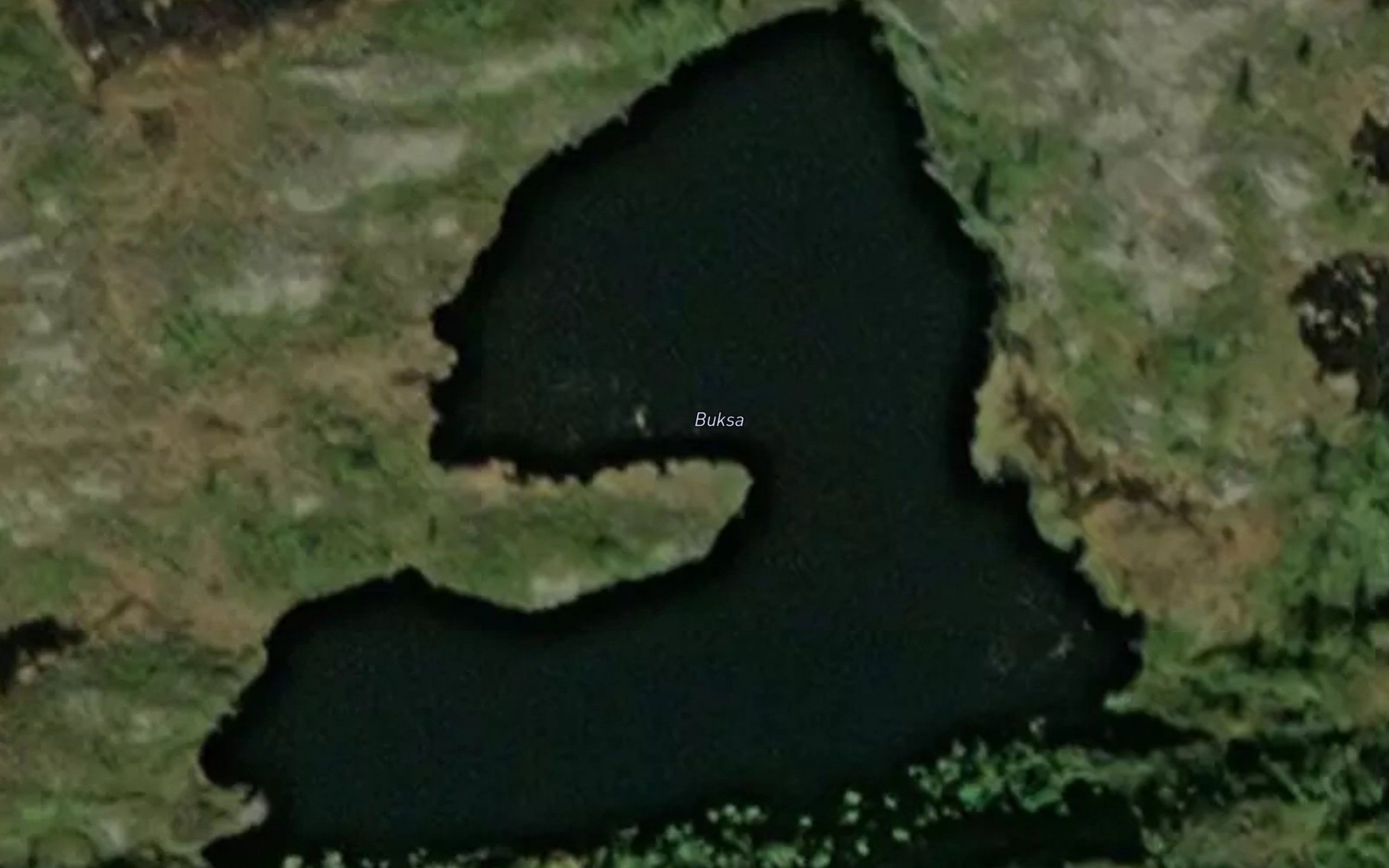 Buksa