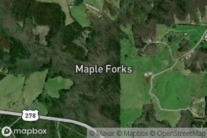 Dripping Springs Creek