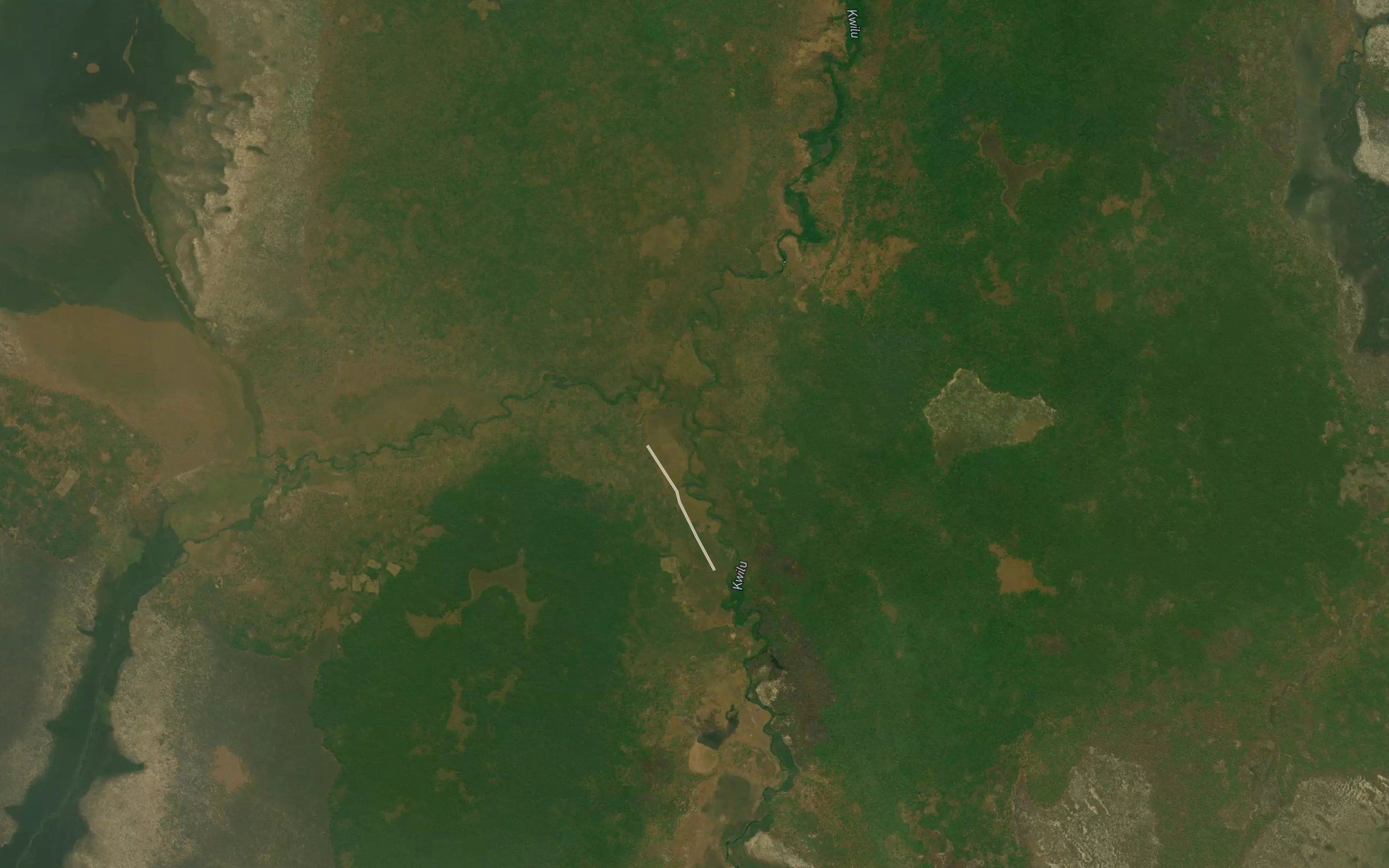 Muxingi