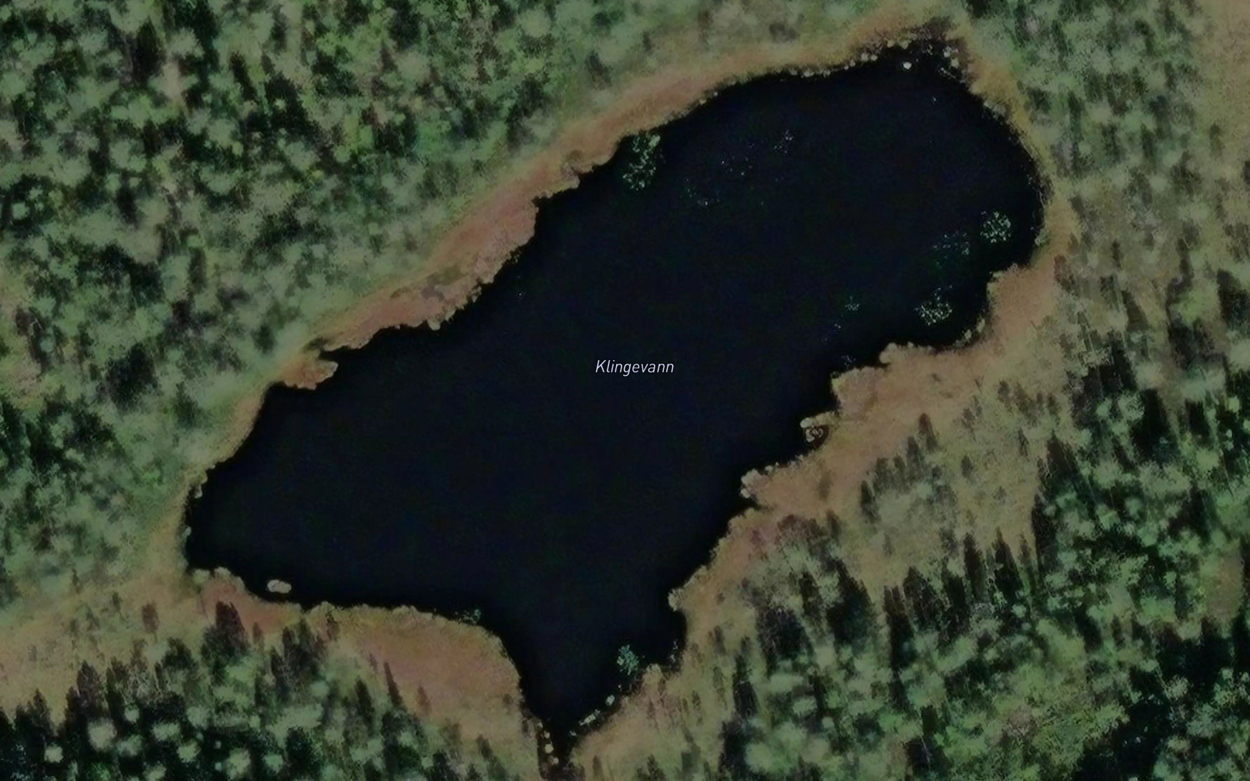 Klingevann