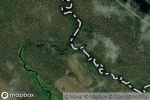 Pusurinjoki